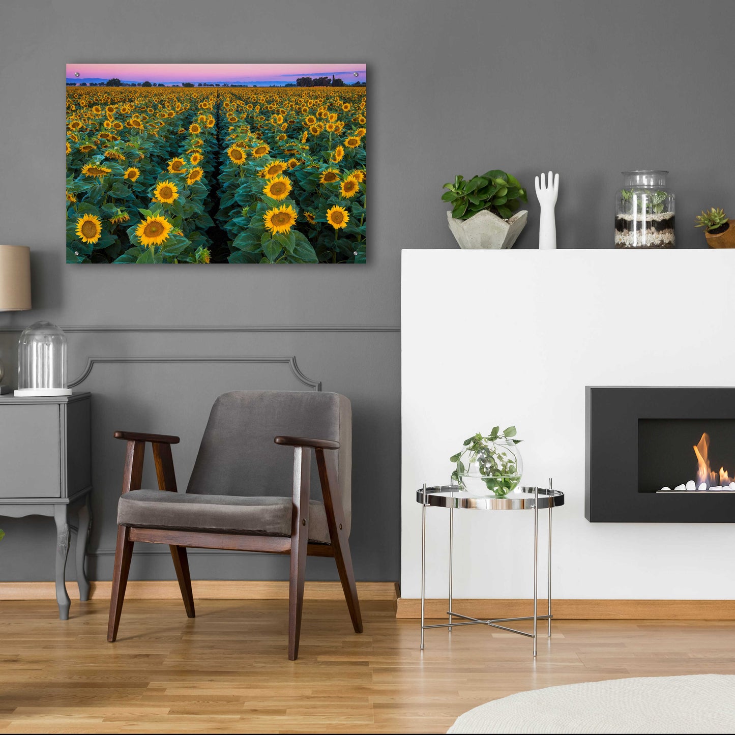 Epic Art 'Dawn Sunflowers' by John Gavrilis, Acrylic Glass Wall Art,36x24