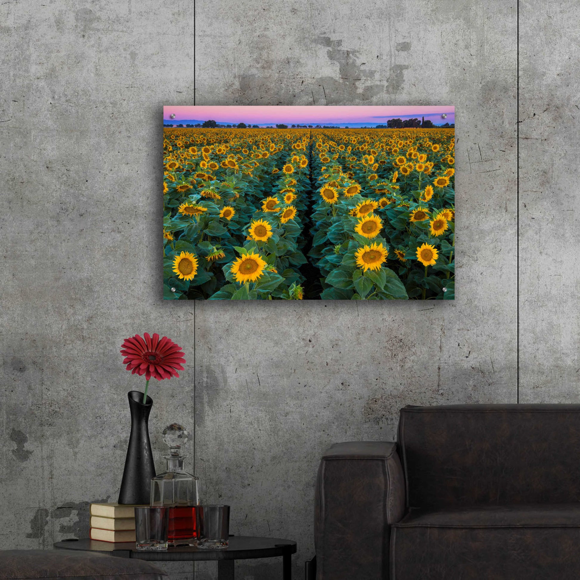 Epic Art 'Dawn Sunflowers' by John Gavrilis, Acrylic Glass Wall Art,36x24