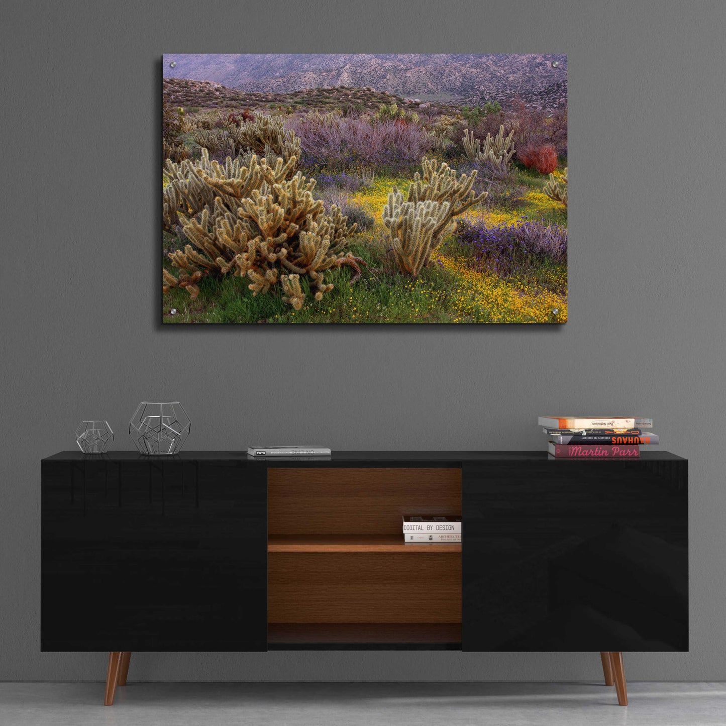 Epic Art 'Desert Cactus and Wildflowers' by John Gavrilis, Acrylic Glass Wall Art,36x24