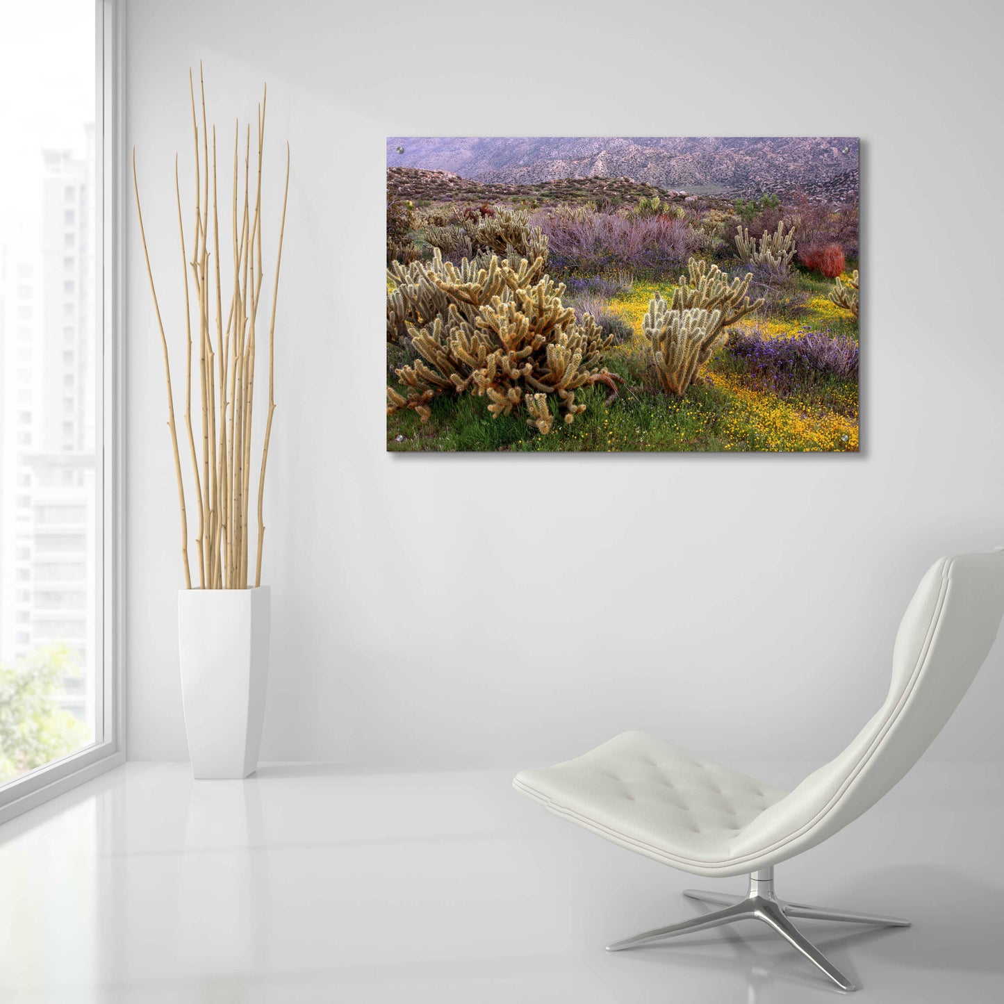 Epic Art 'Desert Cactus and Wildflowers' by John Gavrilis, Acrylic Glass Wall Art,36x24