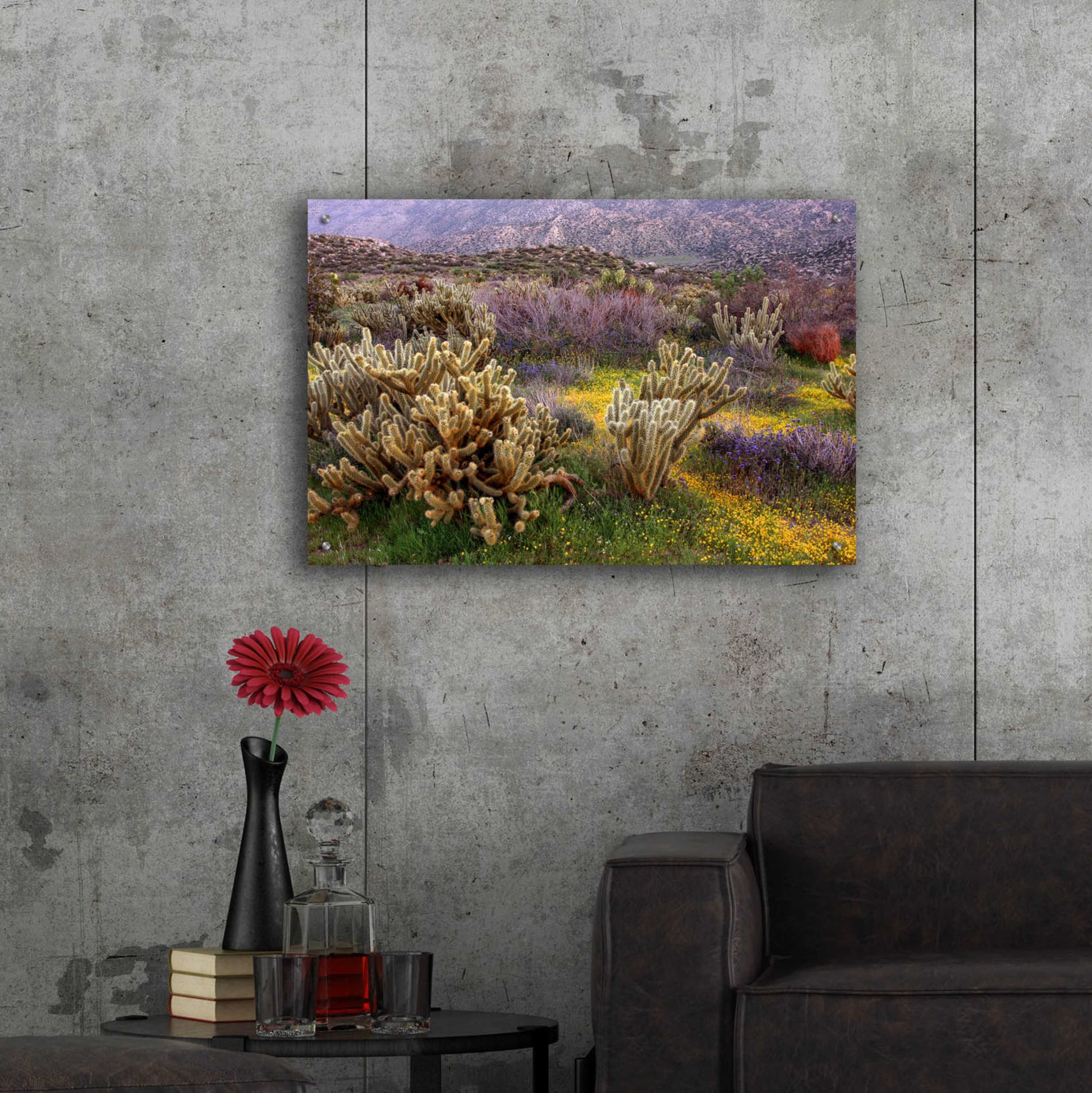 Epic Art 'Desert Cactus and Wildflowers' by John Gavrilis, Acrylic Glass Wall Art,36x24