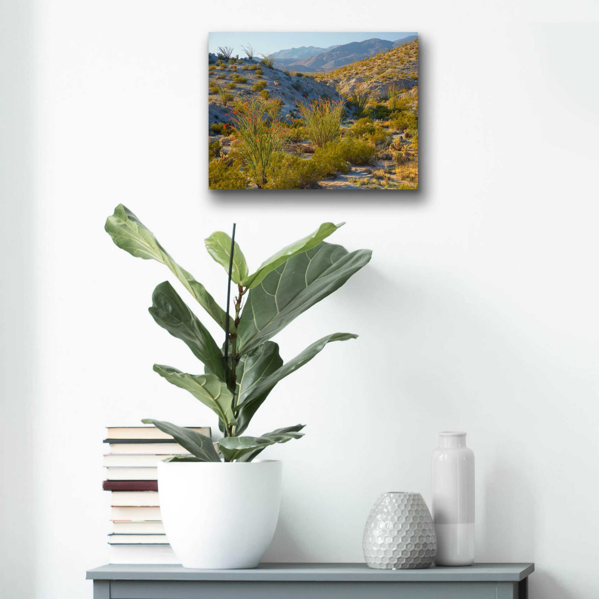 Epic Art 'Desert Ocotillo Landscape' by John Gavrilis, Acrylic Glass Wall Art,16x12