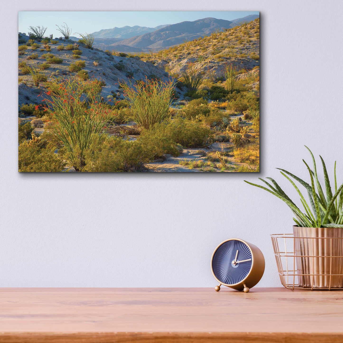 Epic Art 'Desert Ocotillo Landscape' by John Gavrilis, Acrylic Glass Wall Art,16x12