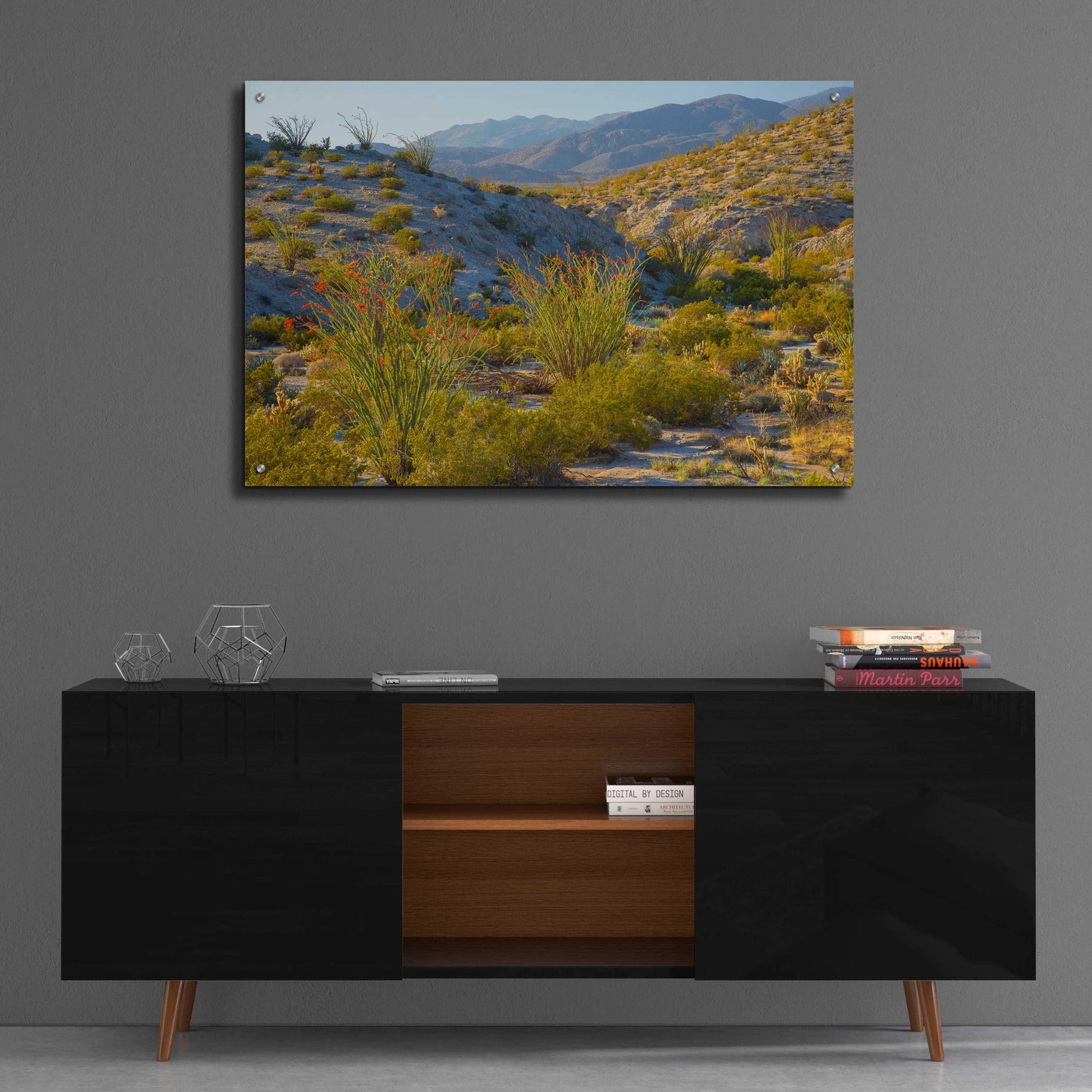 Epic Art 'Desert Ocotillo Landscape' by John Gavrilis, Acrylic Glass Wall Art,36x24