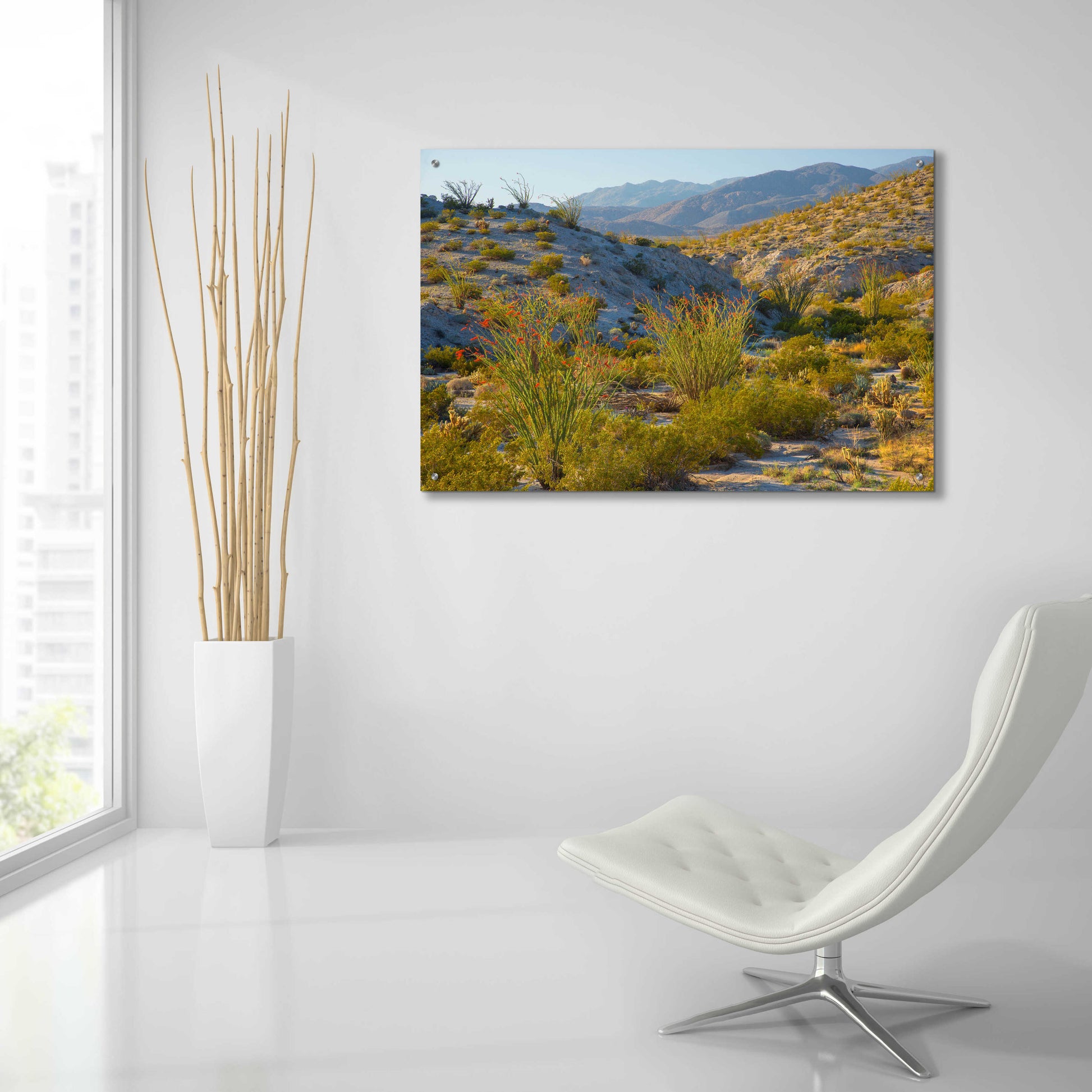 Epic Art 'Desert Ocotillo Landscape' by John Gavrilis, Acrylic Glass Wall Art,36x24