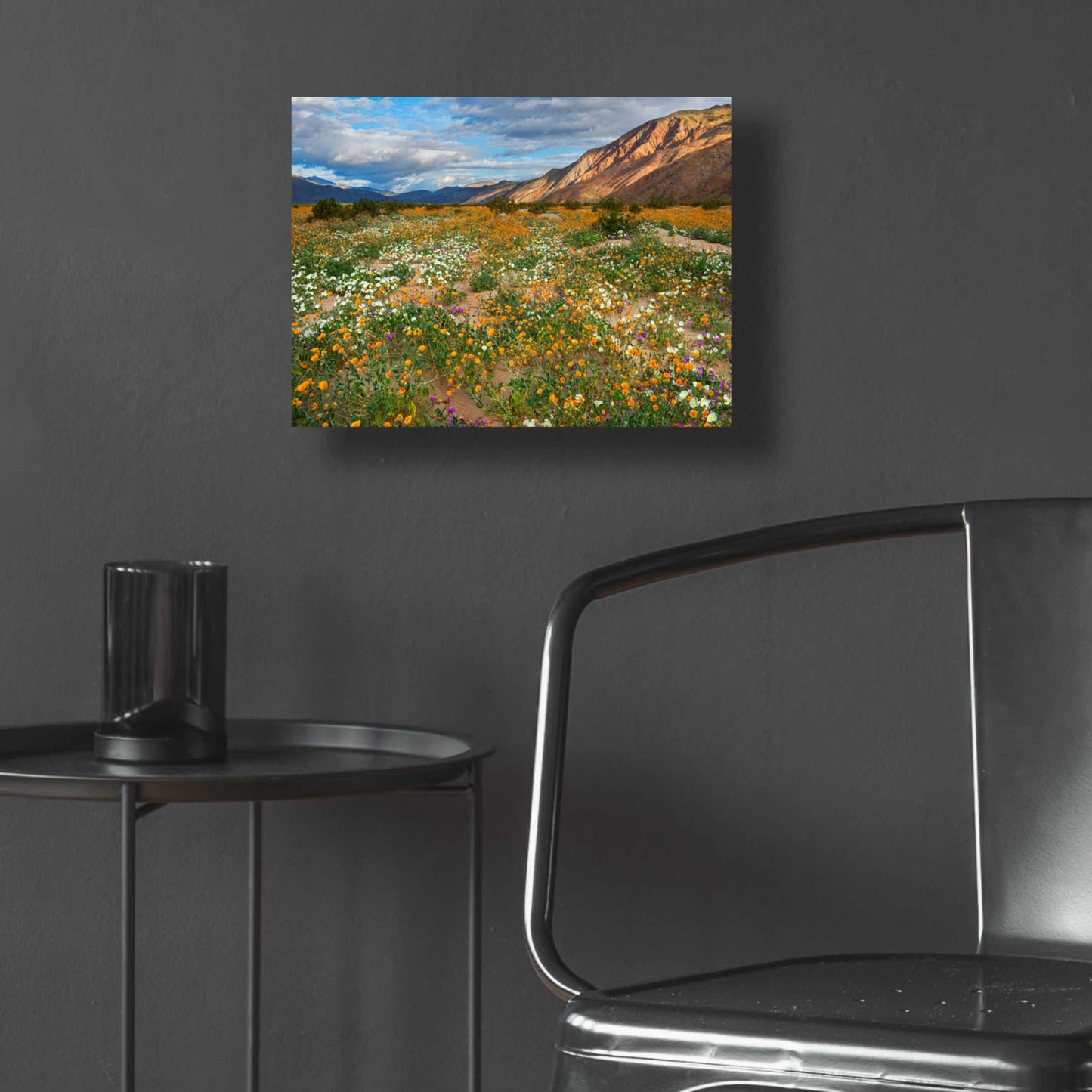 Epic Art 'Desert Wildflowers in Henderson Canyon' by John Gavrilis, Acrylic Glass Wall Art,16x12