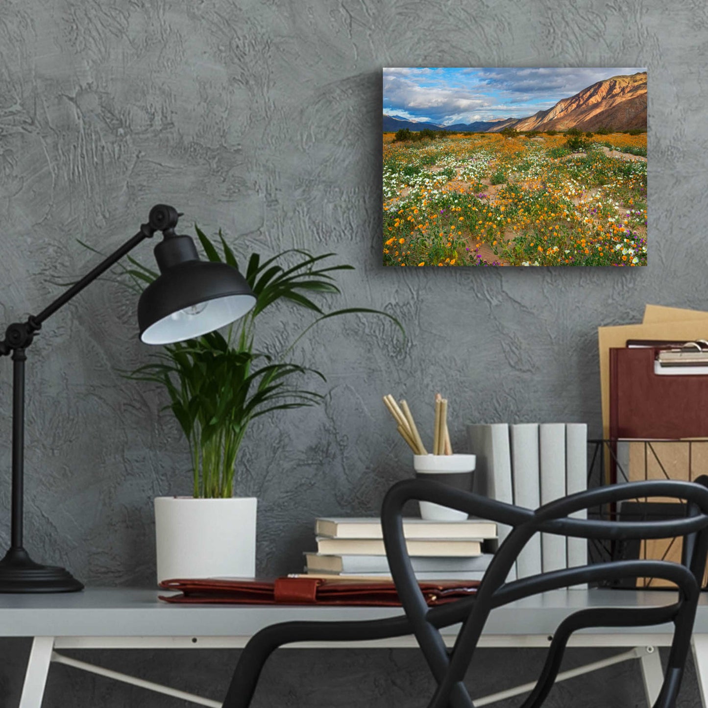 Epic Art 'Desert Wildflowers in Henderson Canyon' by John Gavrilis, Acrylic Glass Wall Art,16x12