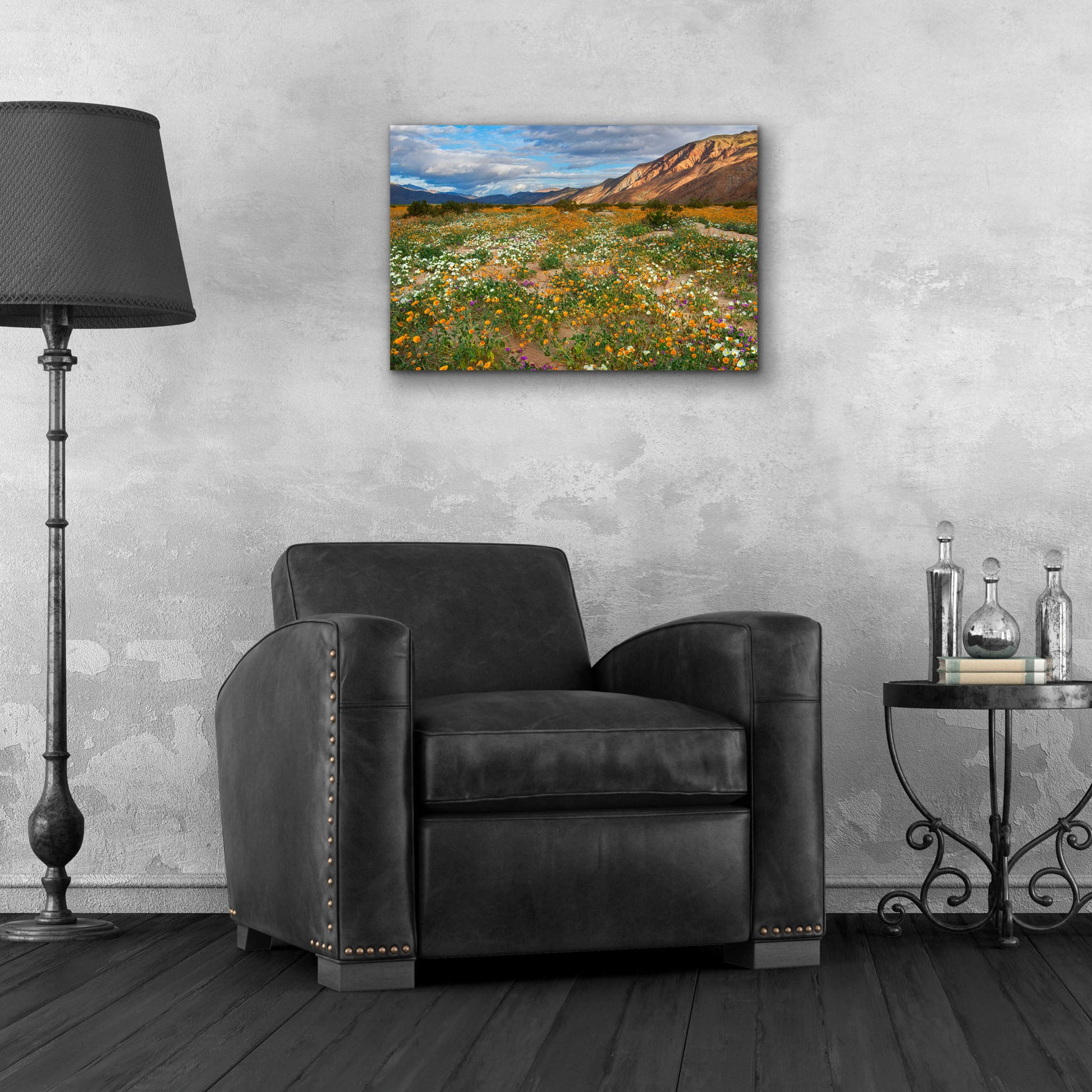 Epic Art 'Desert Wildflowers in Henderson Canyon' by John Gavrilis, Acrylic Glass Wall Art,24x16