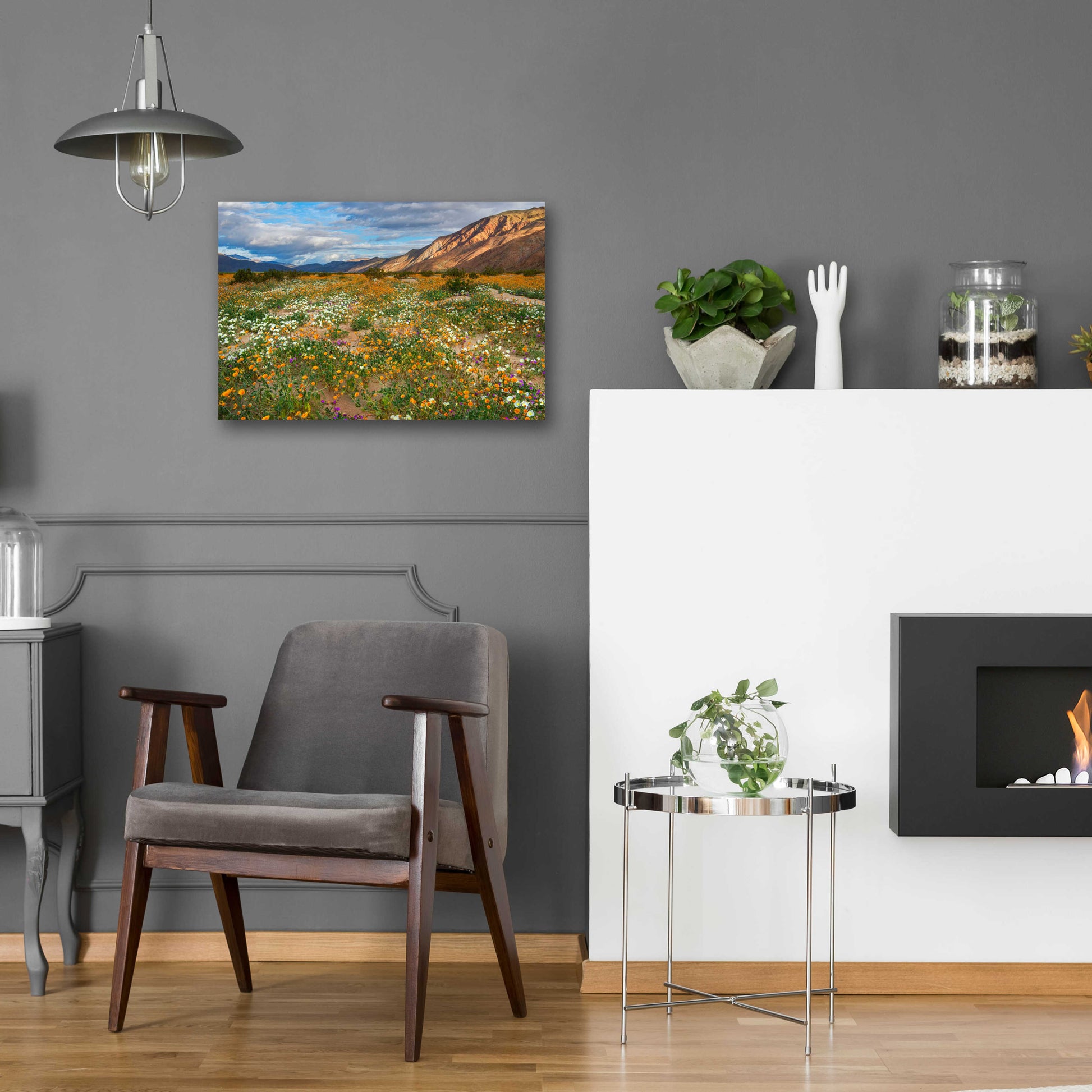 Epic Art 'Desert Wildflowers in Henderson Canyon' by John Gavrilis, Acrylic Glass Wall Art,24x16