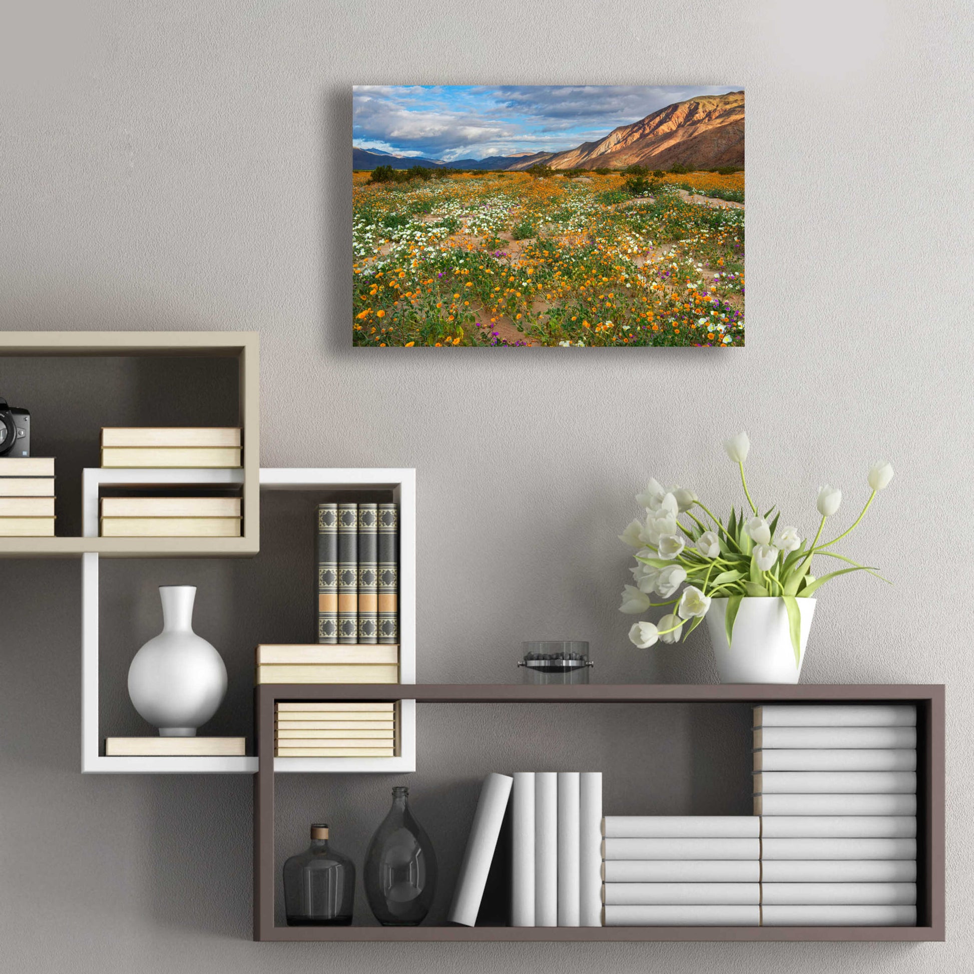 Epic Art 'Desert Wildflowers in Henderson Canyon' by John Gavrilis, Acrylic Glass Wall Art,24x16