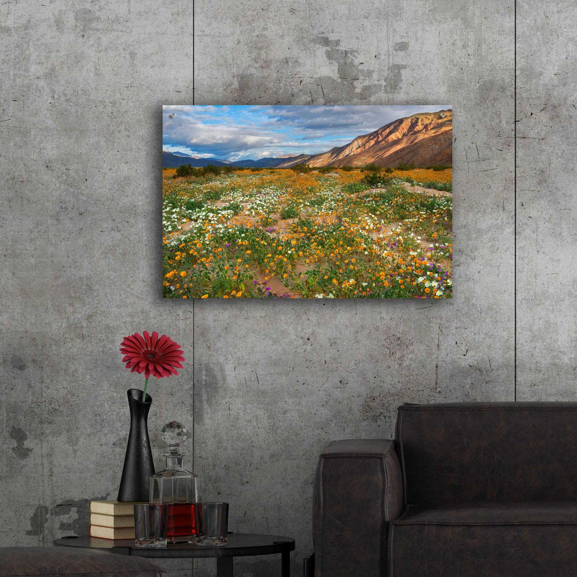 Epic Art 'Desert Wildflowers in Henderson Canyon' by John Gavrilis, Acrylic Glass Wall Art,36x24