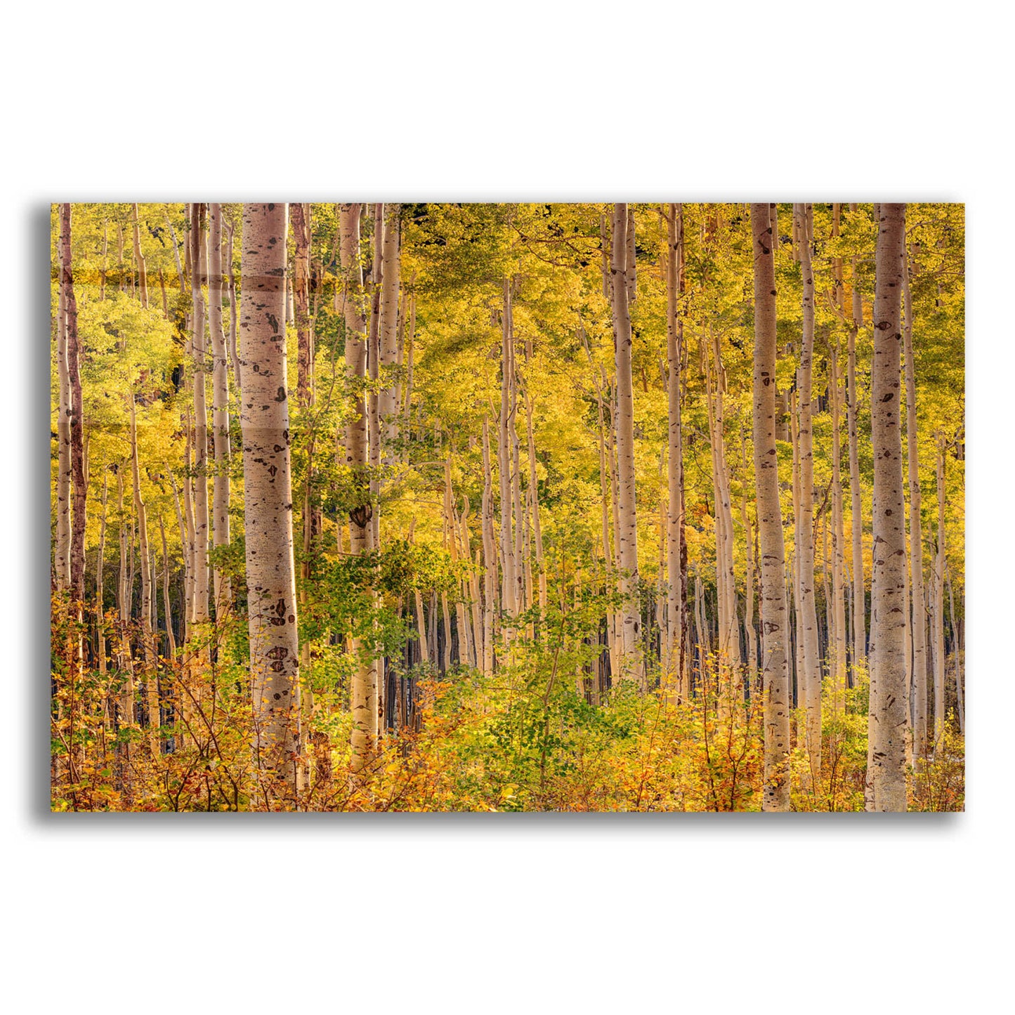 Epic Art 'Independence Pass' by John Gavrilis, Acrylic Glass Wall Art