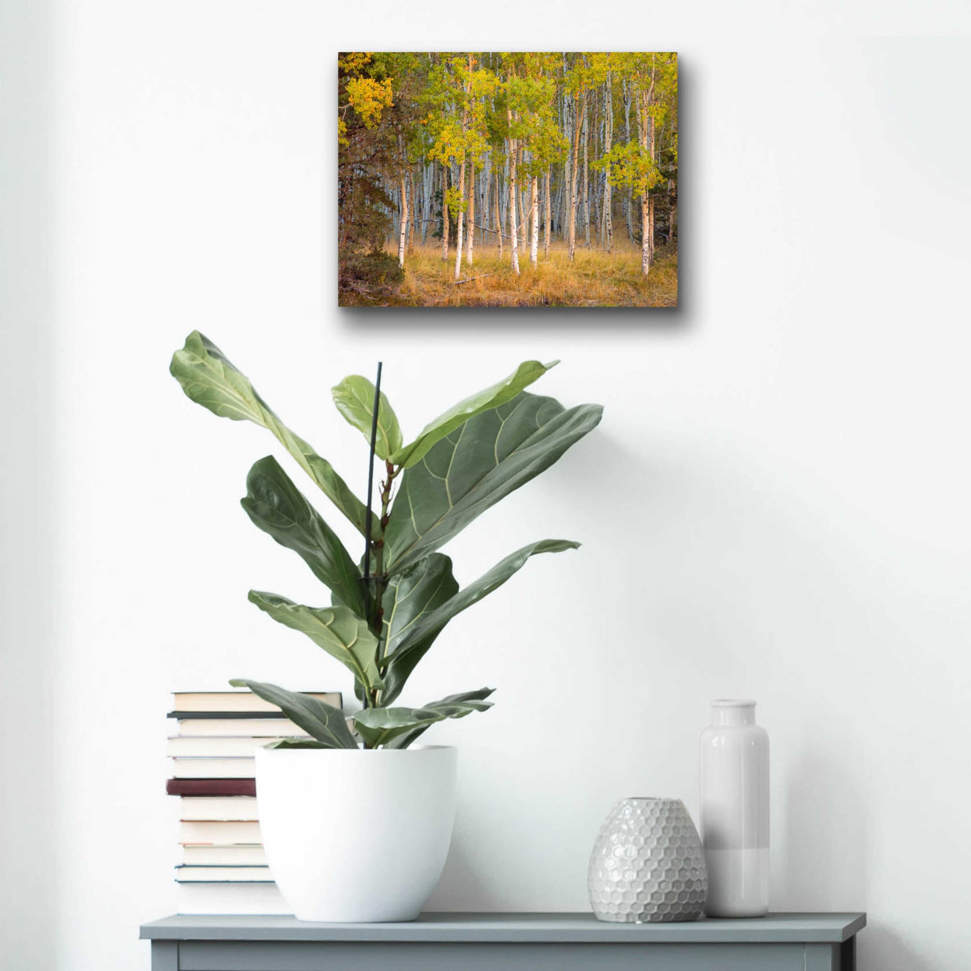 Epic Art 'June Lake Aspen' by John Gavrilis, Acrylic Glass Wall Art,16x12