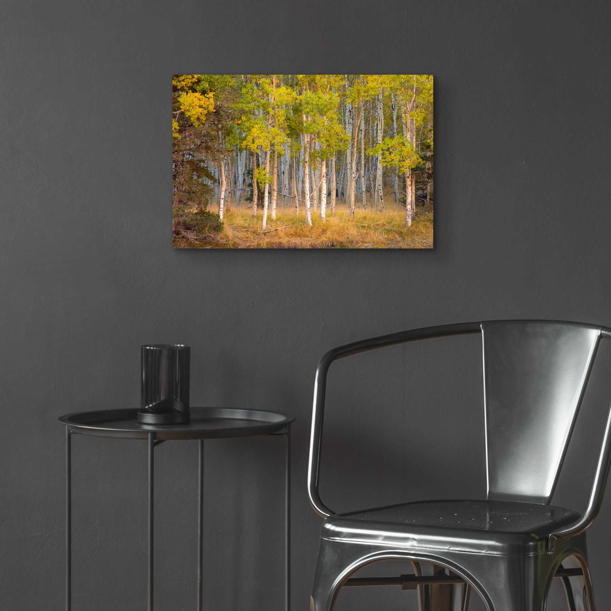 Epic Art 'June Lake Aspen' by John Gavrilis, Acrylic Glass Wall Art,24x16