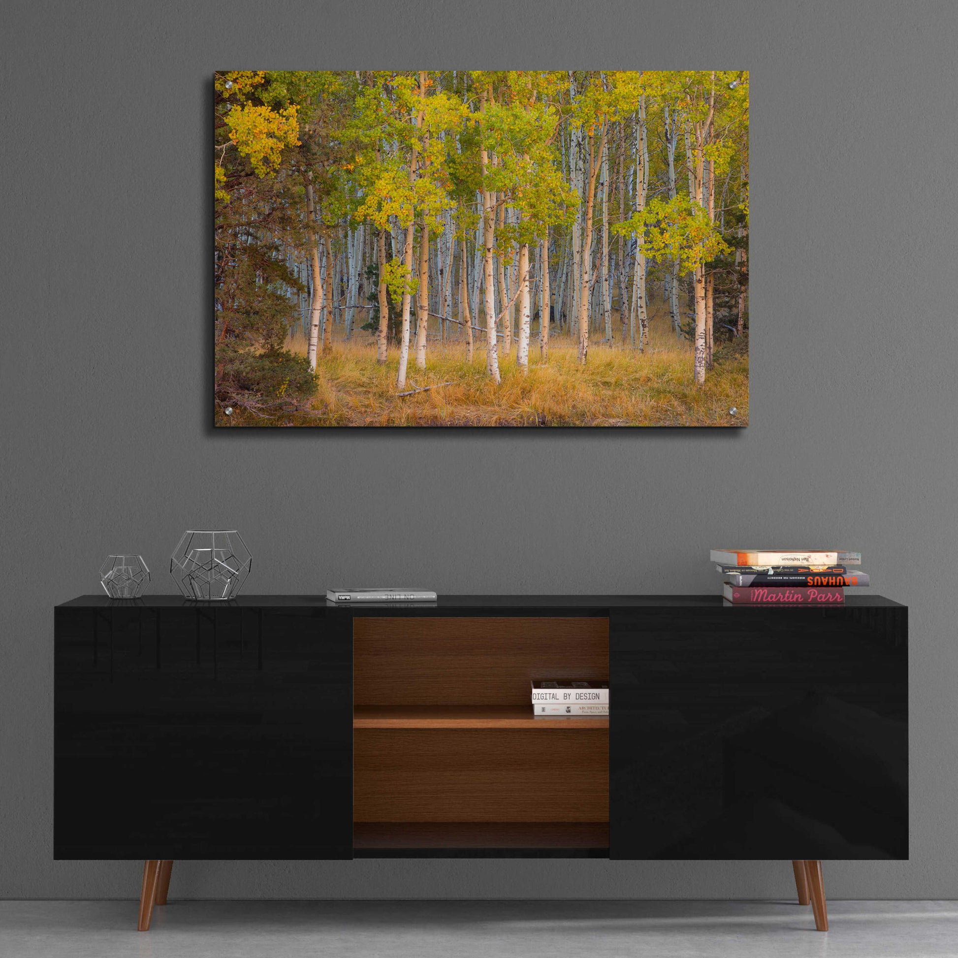 Epic Art 'June Lake Aspen' by John Gavrilis, Acrylic Glass Wall Art,36x24