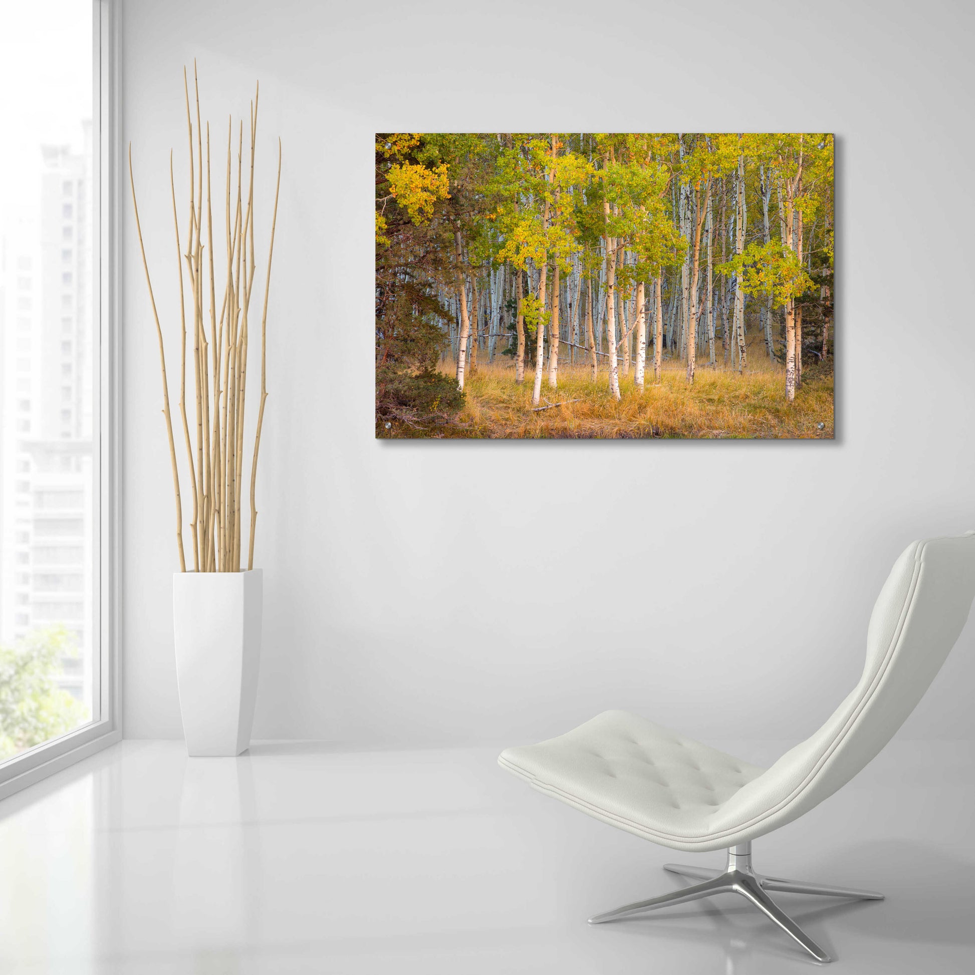 Epic Art 'June Lake Aspen' by John Gavrilis, Acrylic Glass Wall Art,36x24