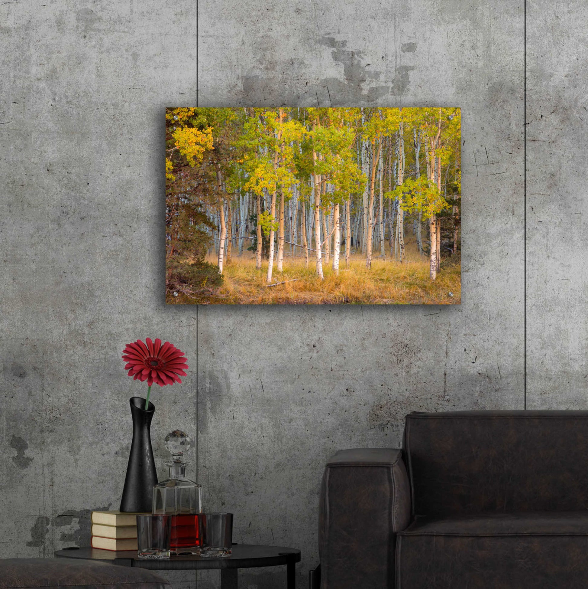 Epic Art 'June Lake Aspen' by John Gavrilis, Acrylic Glass Wall Art,36x24