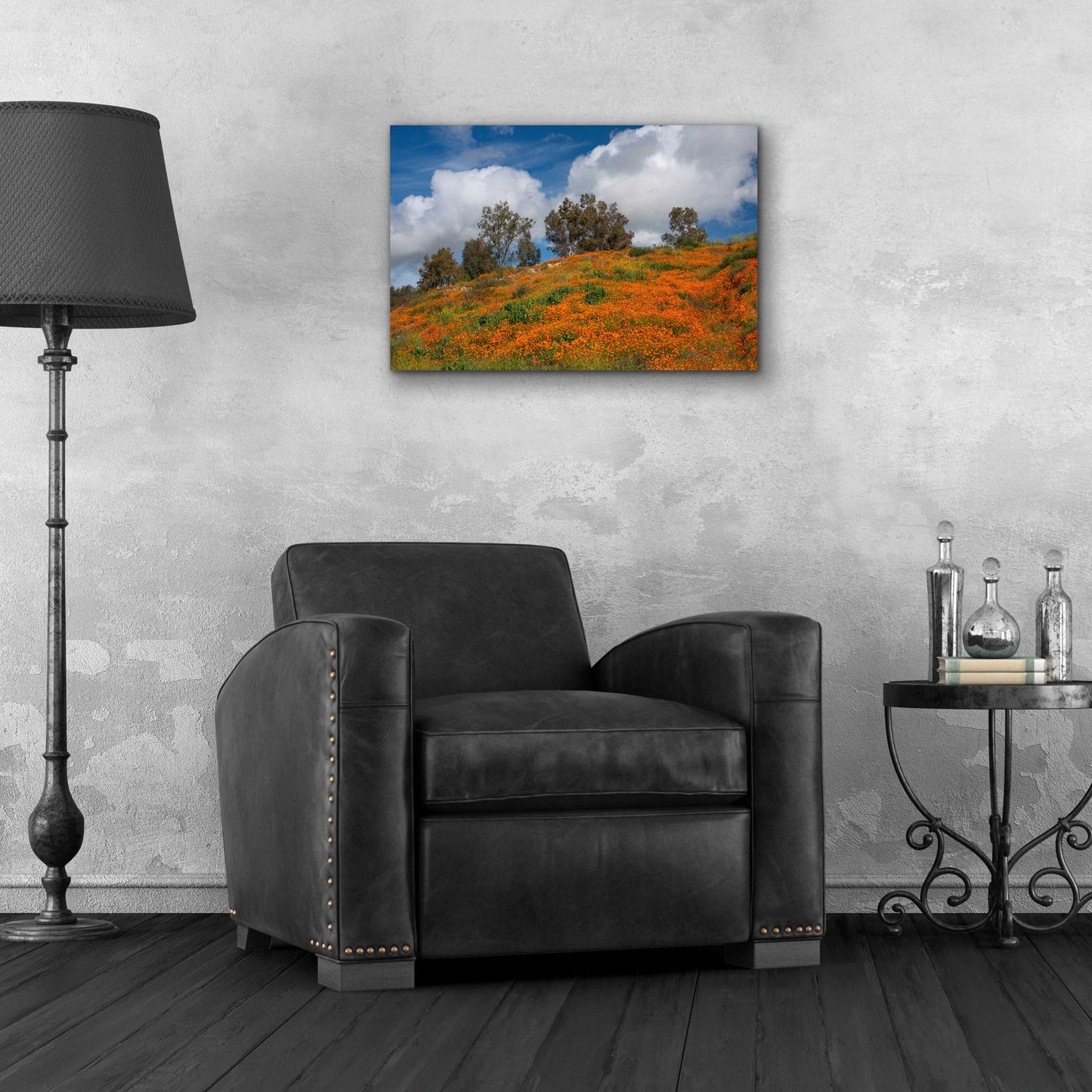 Epic Art 'Poppies, Trees & Clouds' by John Gavrilis, Acrylic Glass Wall Art,24x16