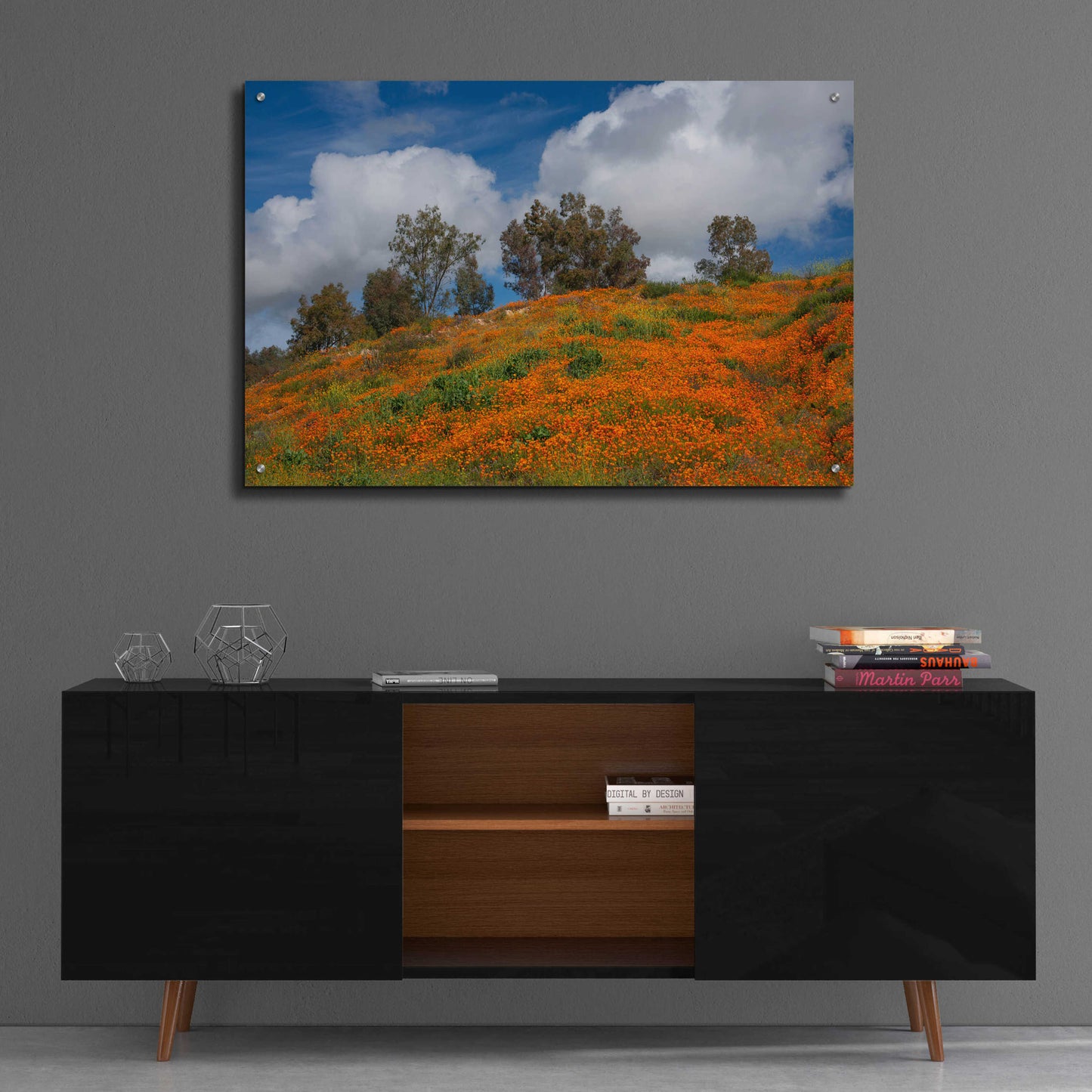 Epic Art 'Poppies, Trees & Clouds' by John Gavrilis, Acrylic Glass Wall Art,36x24