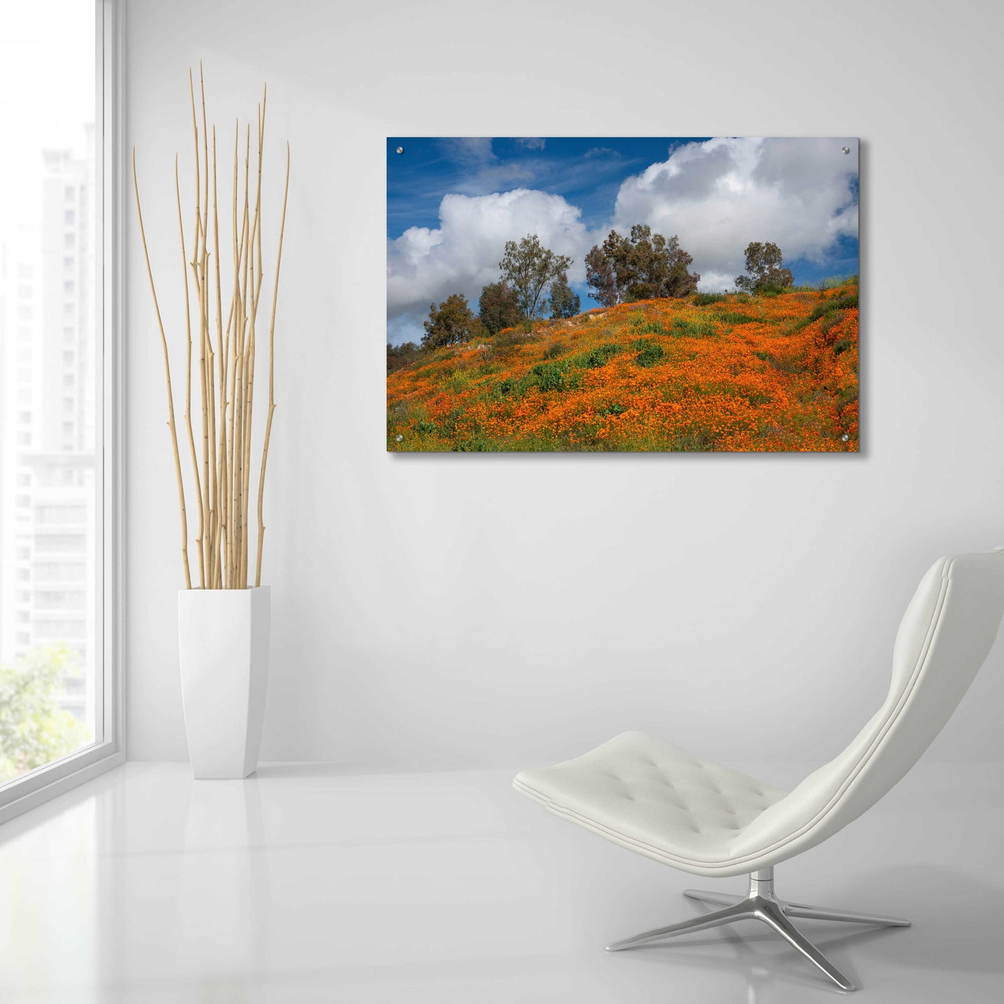 Epic Art 'Poppies, Trees & Clouds' by John Gavrilis, Acrylic Glass Wall Art,36x24