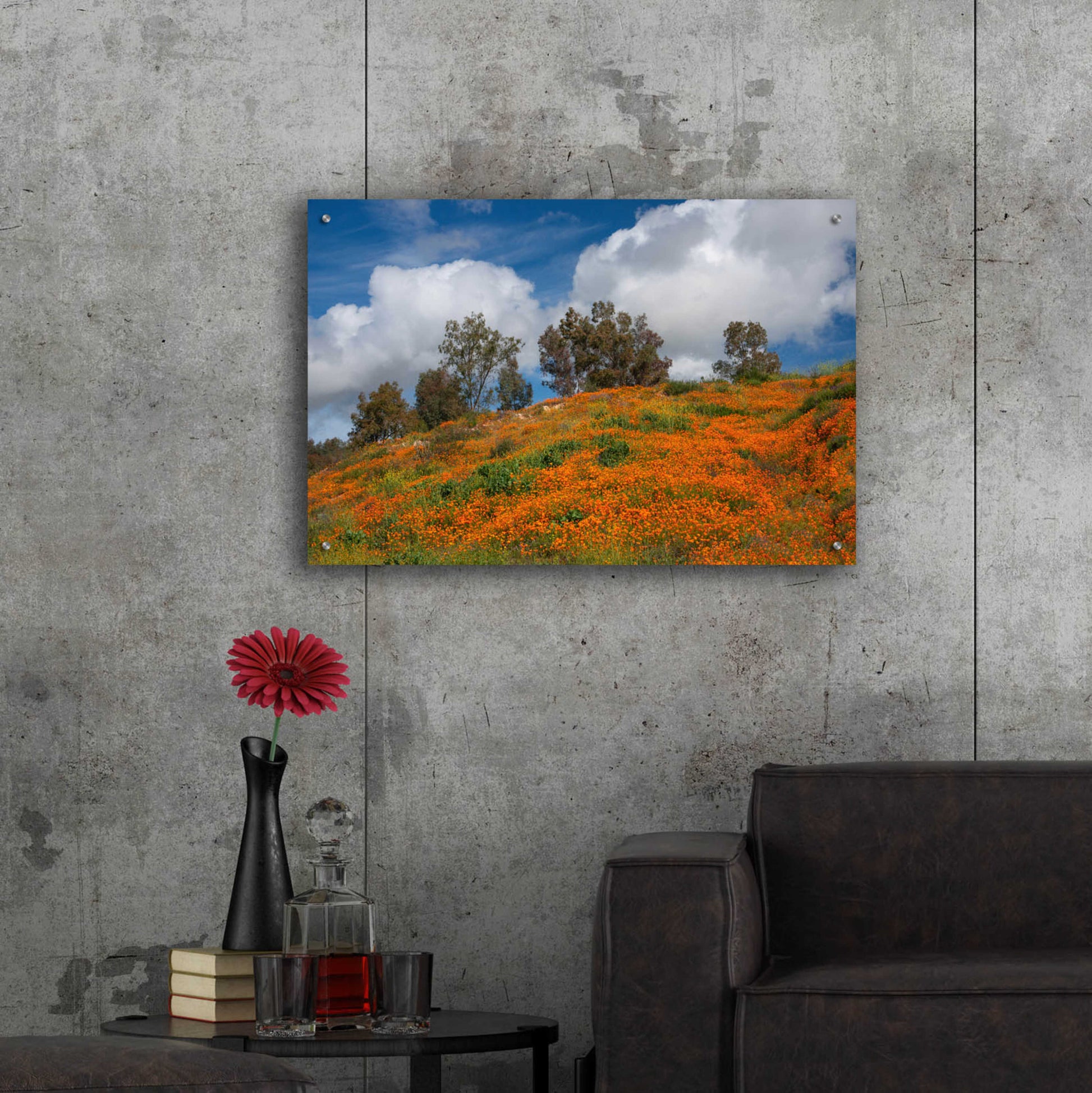 Epic Art 'Poppies, Trees & Clouds' by John Gavrilis, Acrylic Glass Wall Art,36x24