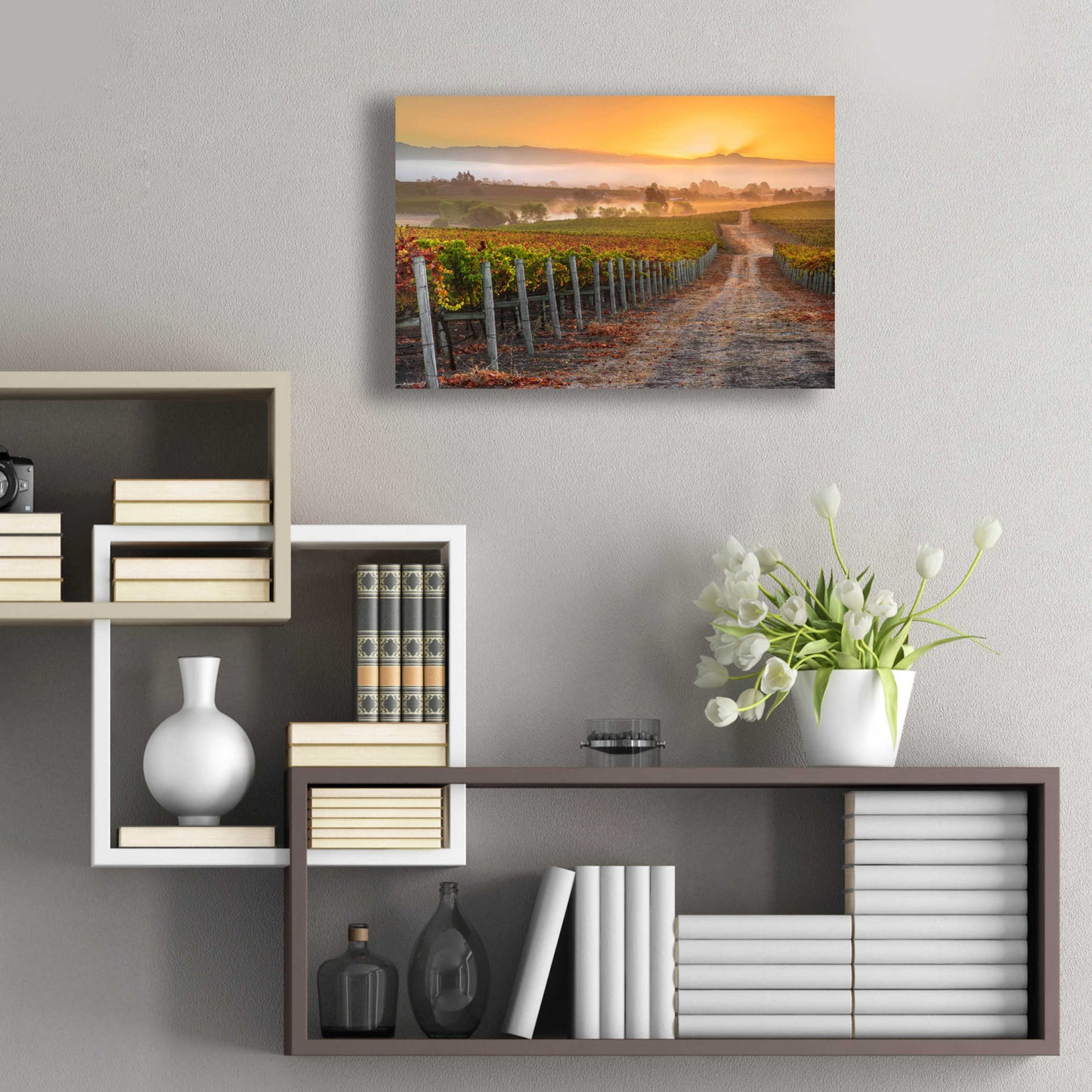 Epic Art 'Vineyard Sunrise' by John Gavrilis, Acrylic Glass Wall Art,24x16