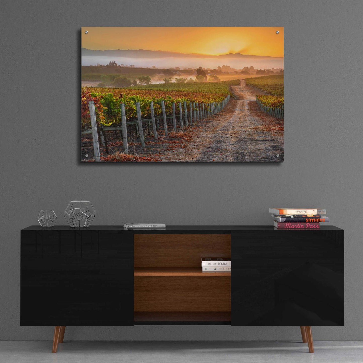 Epic Art 'Vineyard Sunrise' by John Gavrilis, Acrylic Glass Wall Art,36x24