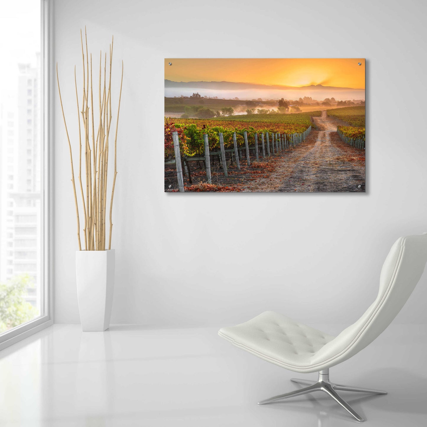 Epic Art 'Vineyard Sunrise' by John Gavrilis, Acrylic Glass Wall Art,36x24