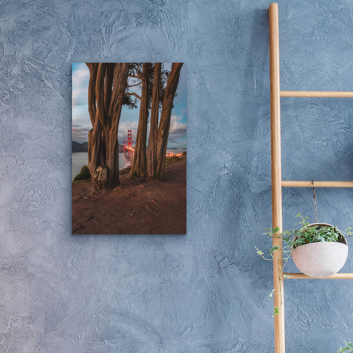 Epic Art 'Between the Trees' by Bruce Getty, Acrylic Glass Wall Art,16x24