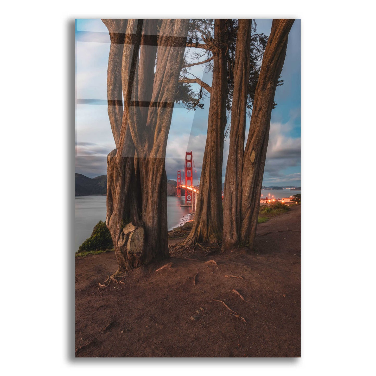 Epic Art 'Between the Trees' by Bruce Getty, Acrylic Glass Wall Art