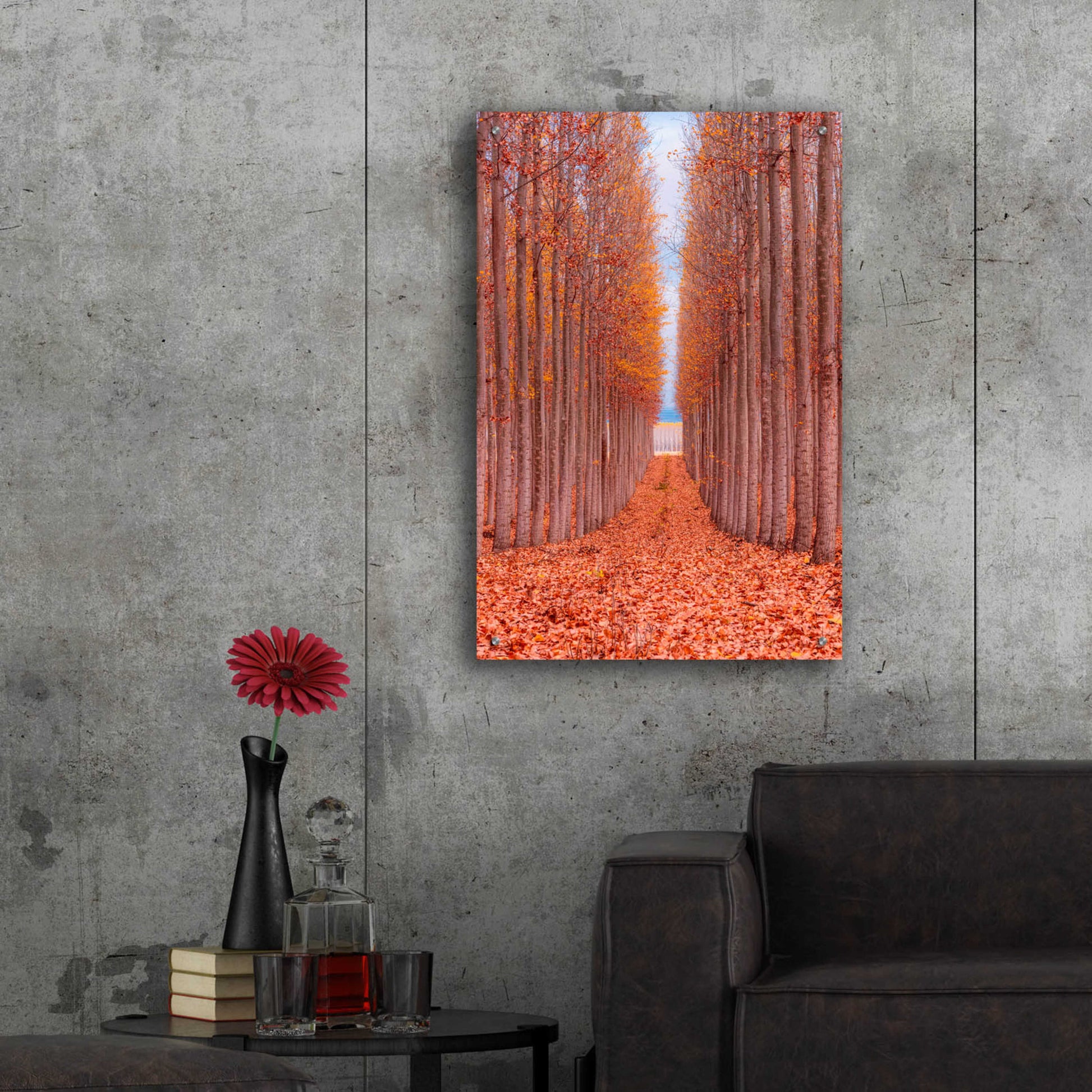 Epic Art 'Tree Farm' by Bruce Getty, Acrylic Glass Wall Art,24x36