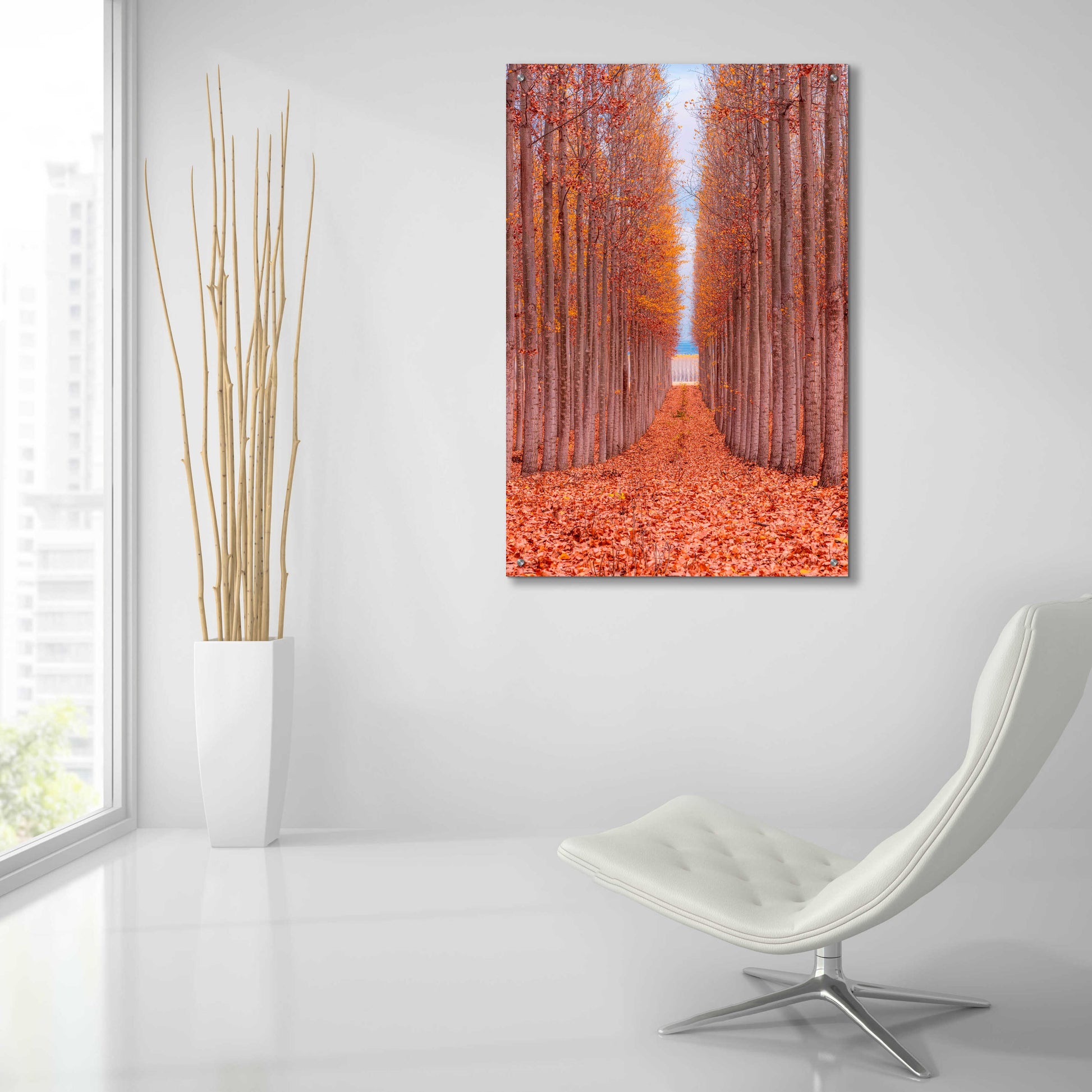 Epic Art 'Tree Farm' by Bruce Getty, Acrylic Glass Wall Art,24x36