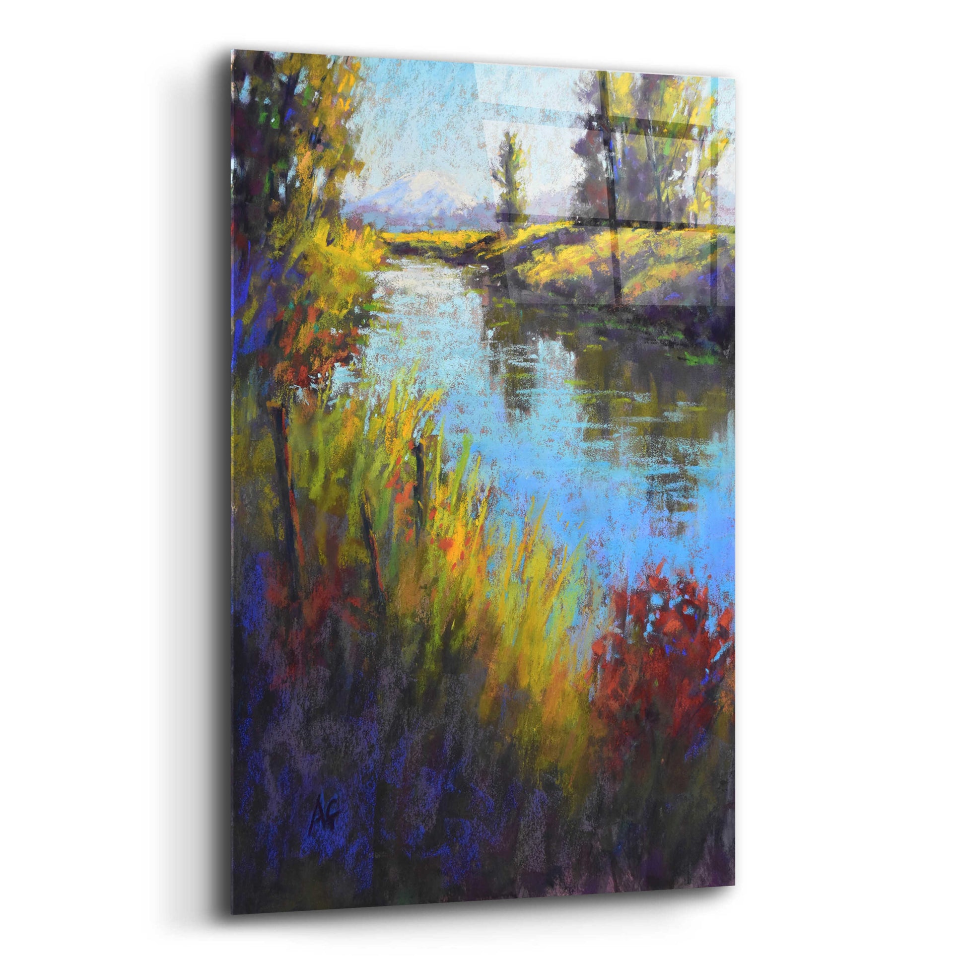 Epic Art 'Looking Down the Slough' by Alejandra Goss, Acrylic Glass Wall Art,12x16