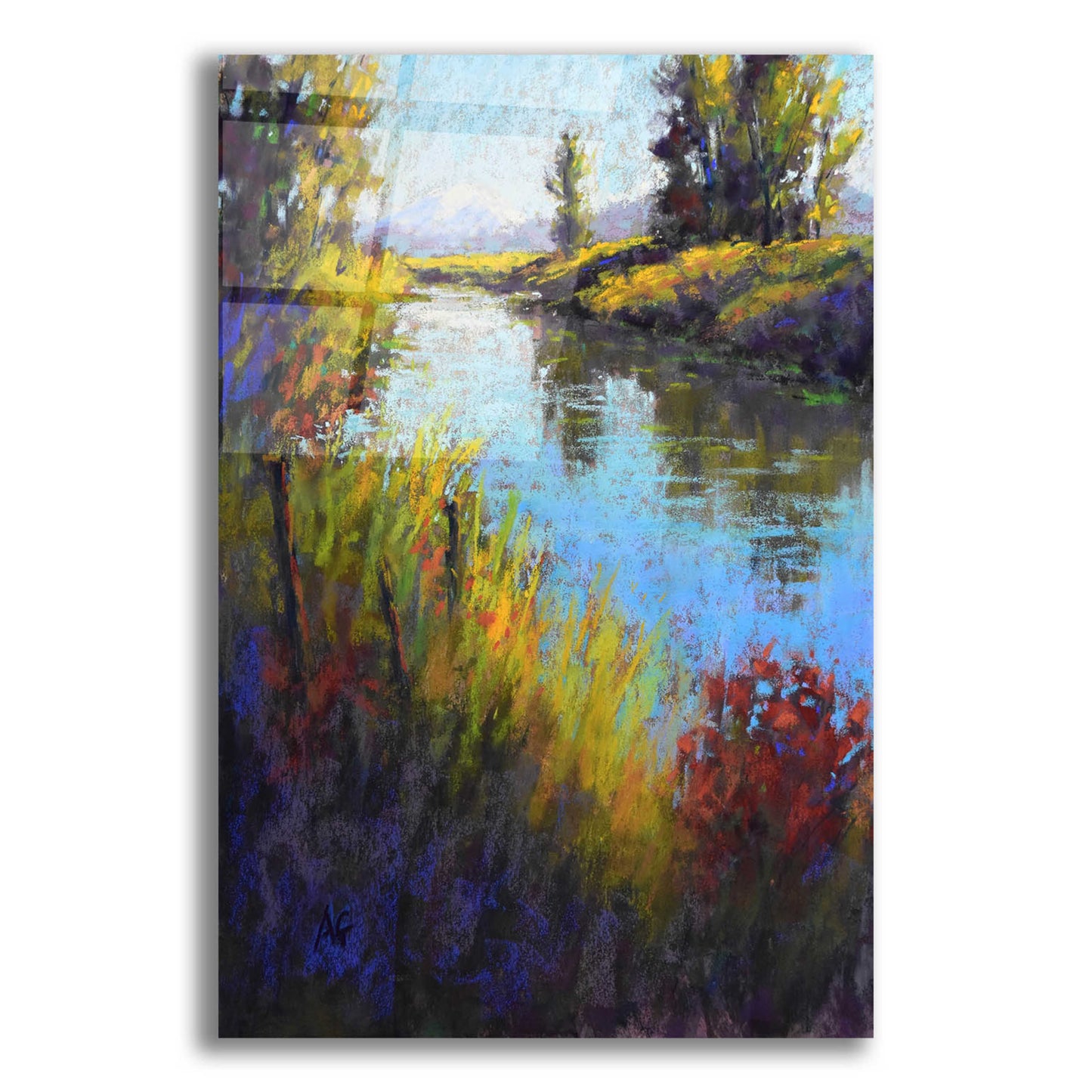 Epic Art 'Looking Down the Slough' by Alejandra Goss, Acrylic Glass Wall Art,12x16