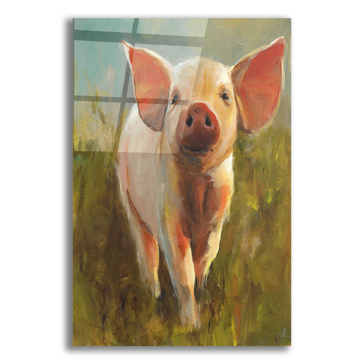 Morning Pig by Carl J Humphry acrylic glass wall art