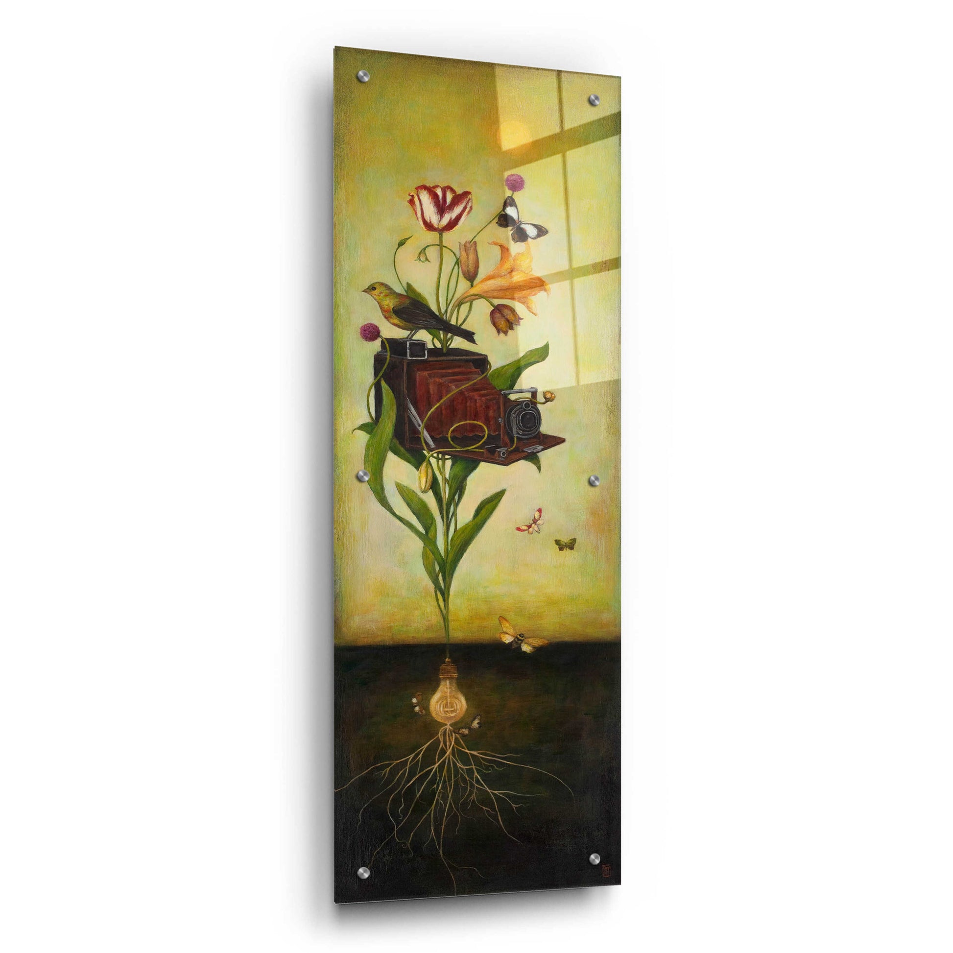 Epic Art 'Photosynthesis Bliss' by Duy Huynh, Acrylic Glass Wall Art,12x36