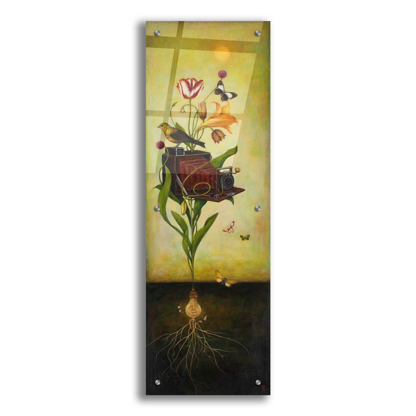 Epic Art 'Photosynthesis Bliss' by Duy Huynh, Acrylic Glass Wall Art,12x36