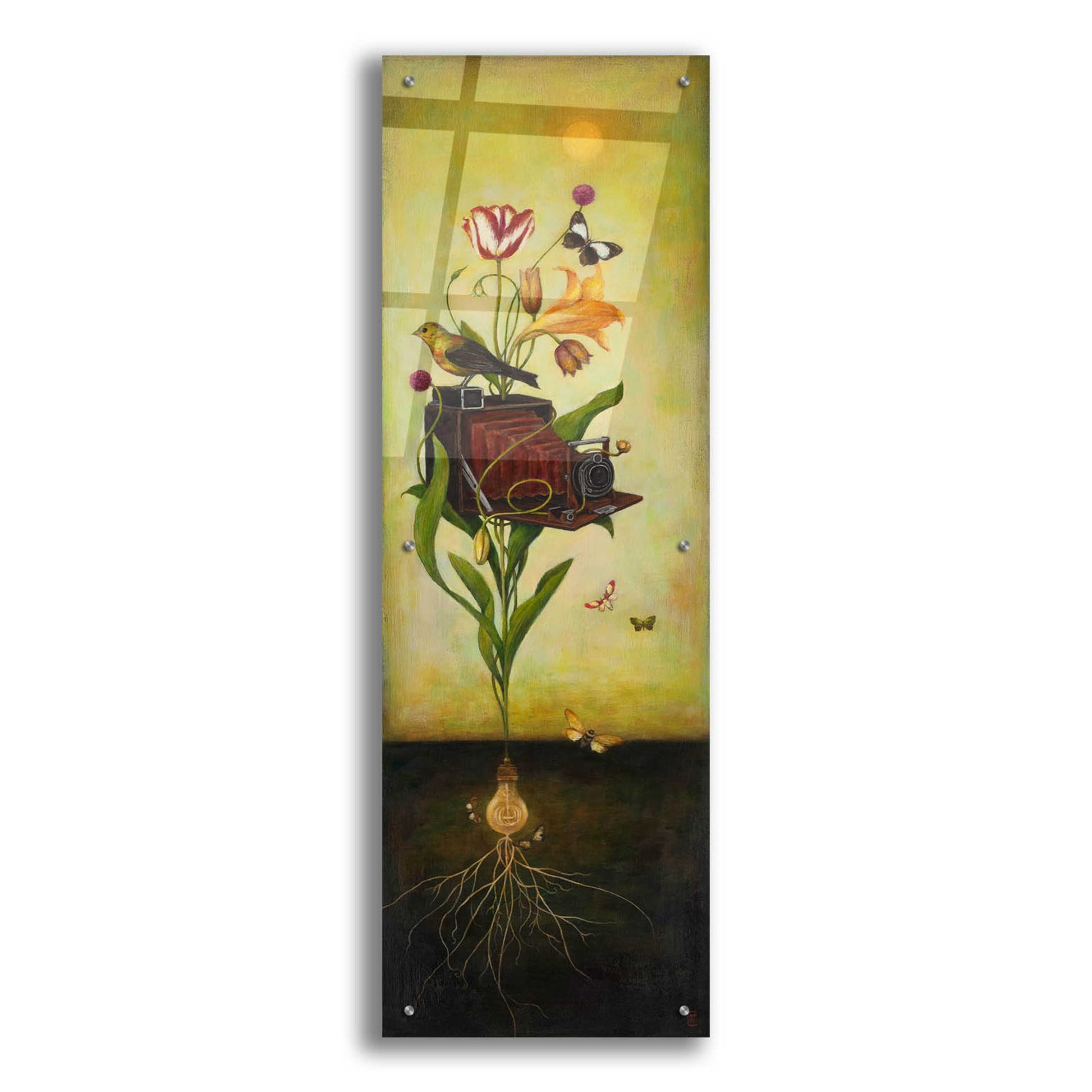 Epic Art 'Photosynthesis Bliss' by Duy Huynh, Acrylic Glass Wall Art,16x48