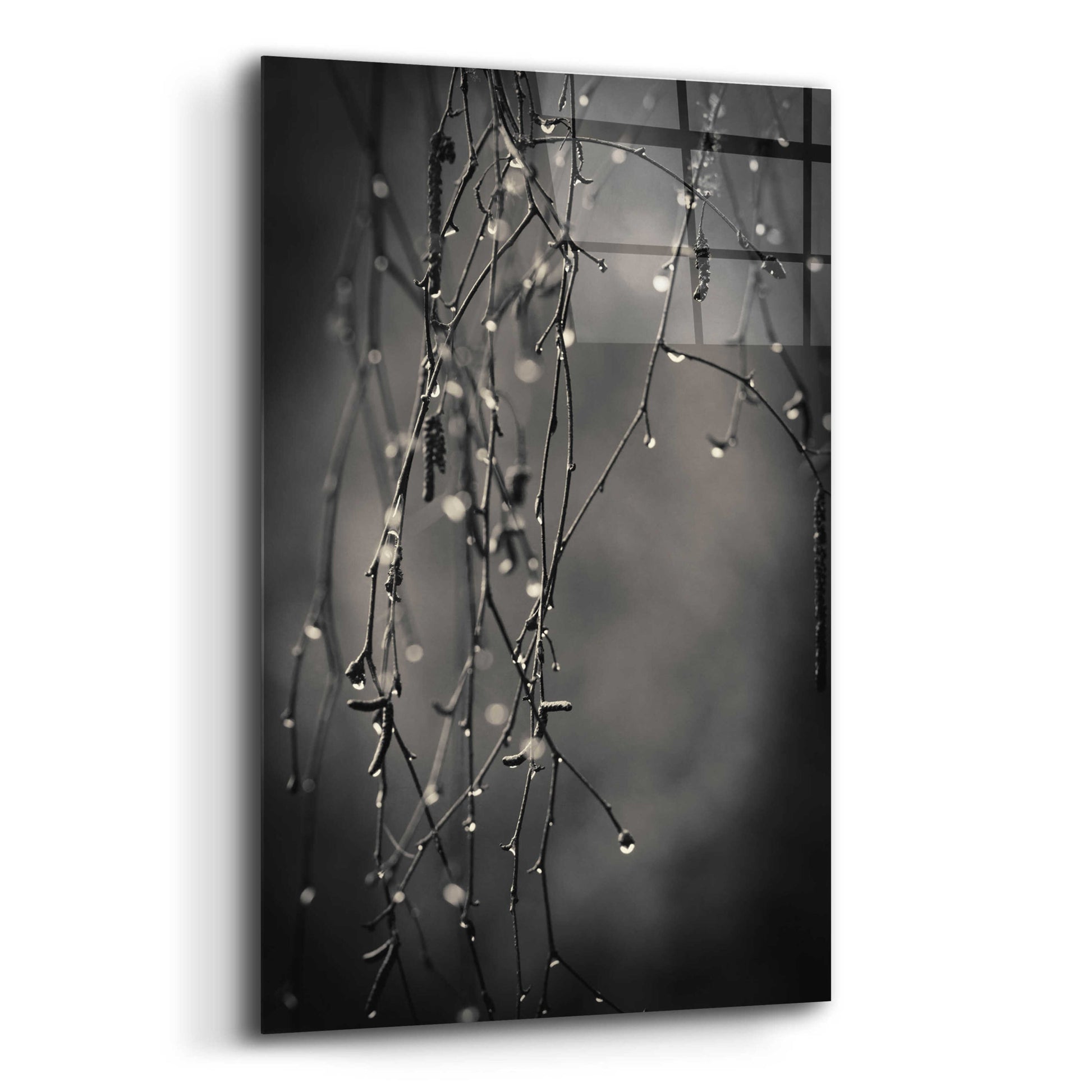 Epic Art 'Bare Branches 2017' by Gary Horsfall, Acrylic Glass Wall Art,12x16