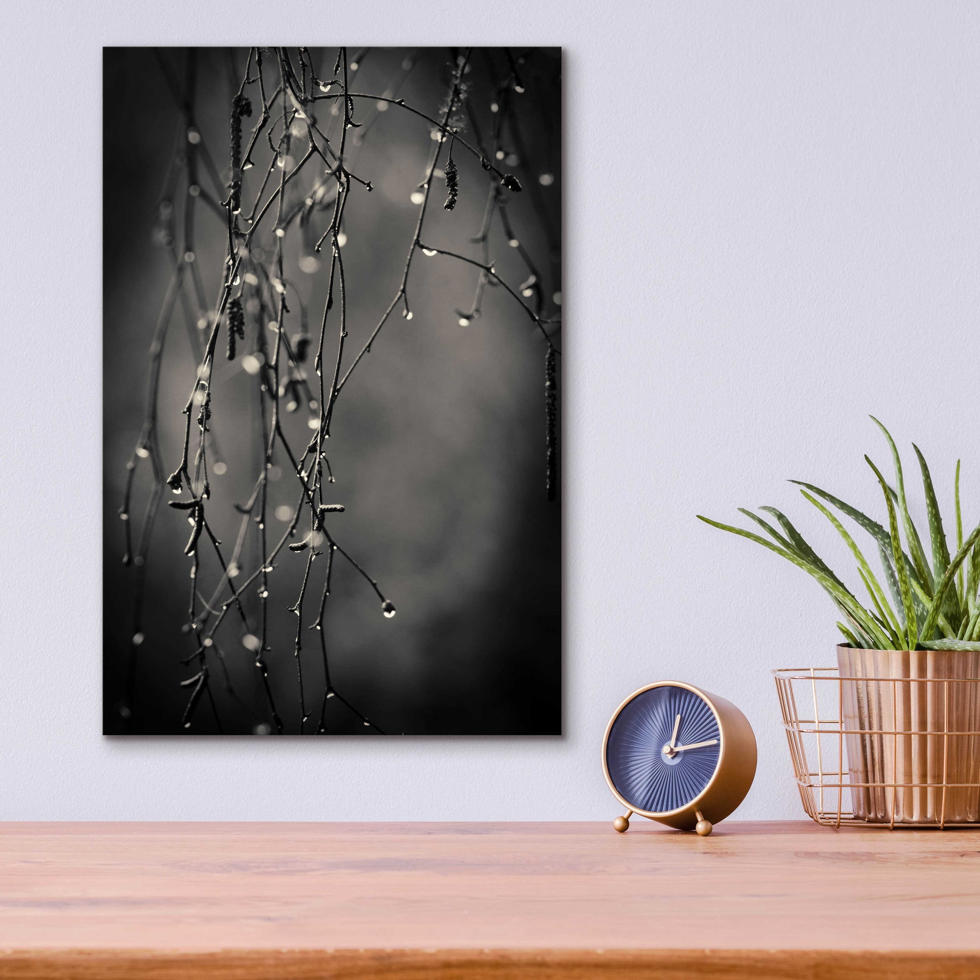 Epic Art 'Bare Branches 2017' by Gary Horsfall, Acrylic Glass Wall Art,12x16