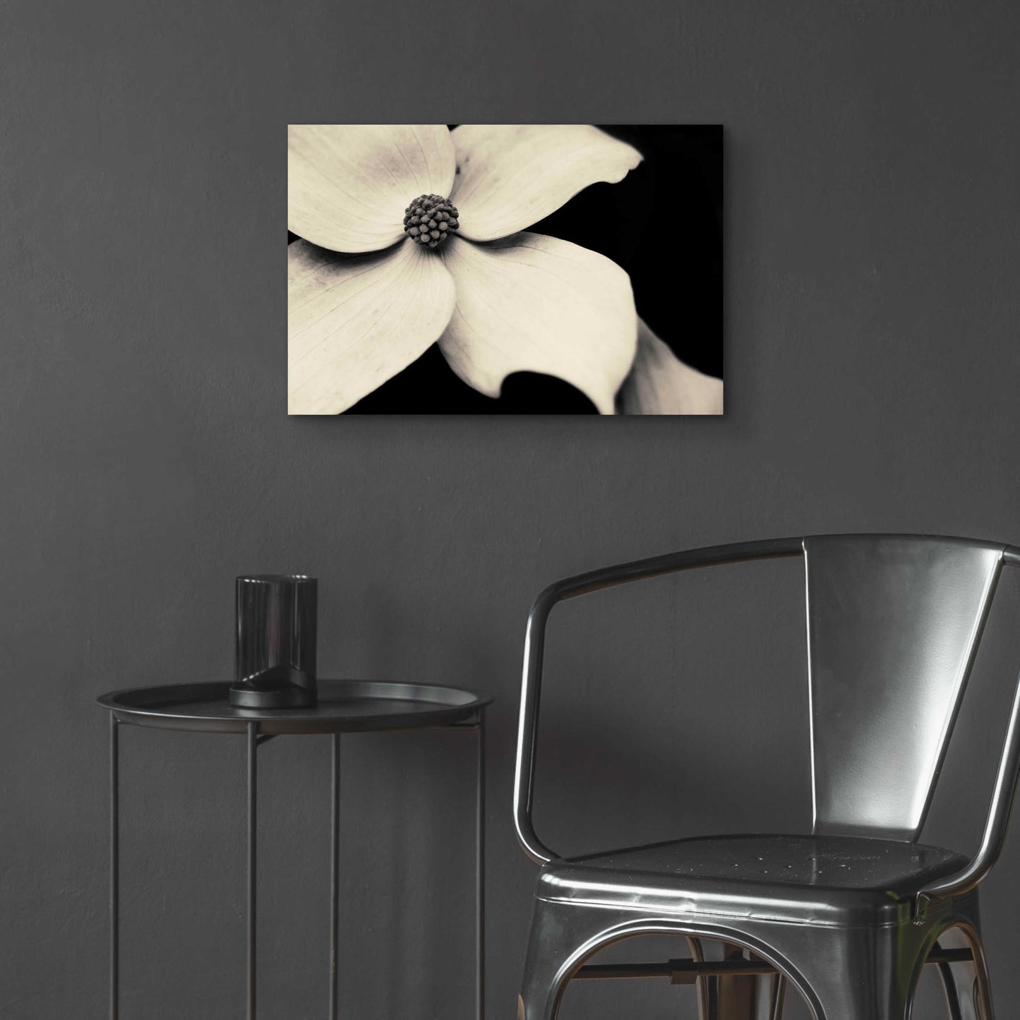 Epic Art 'Dogwood Flower' by Gary Horsfall, Acrylic Glass Wall Art,24x16