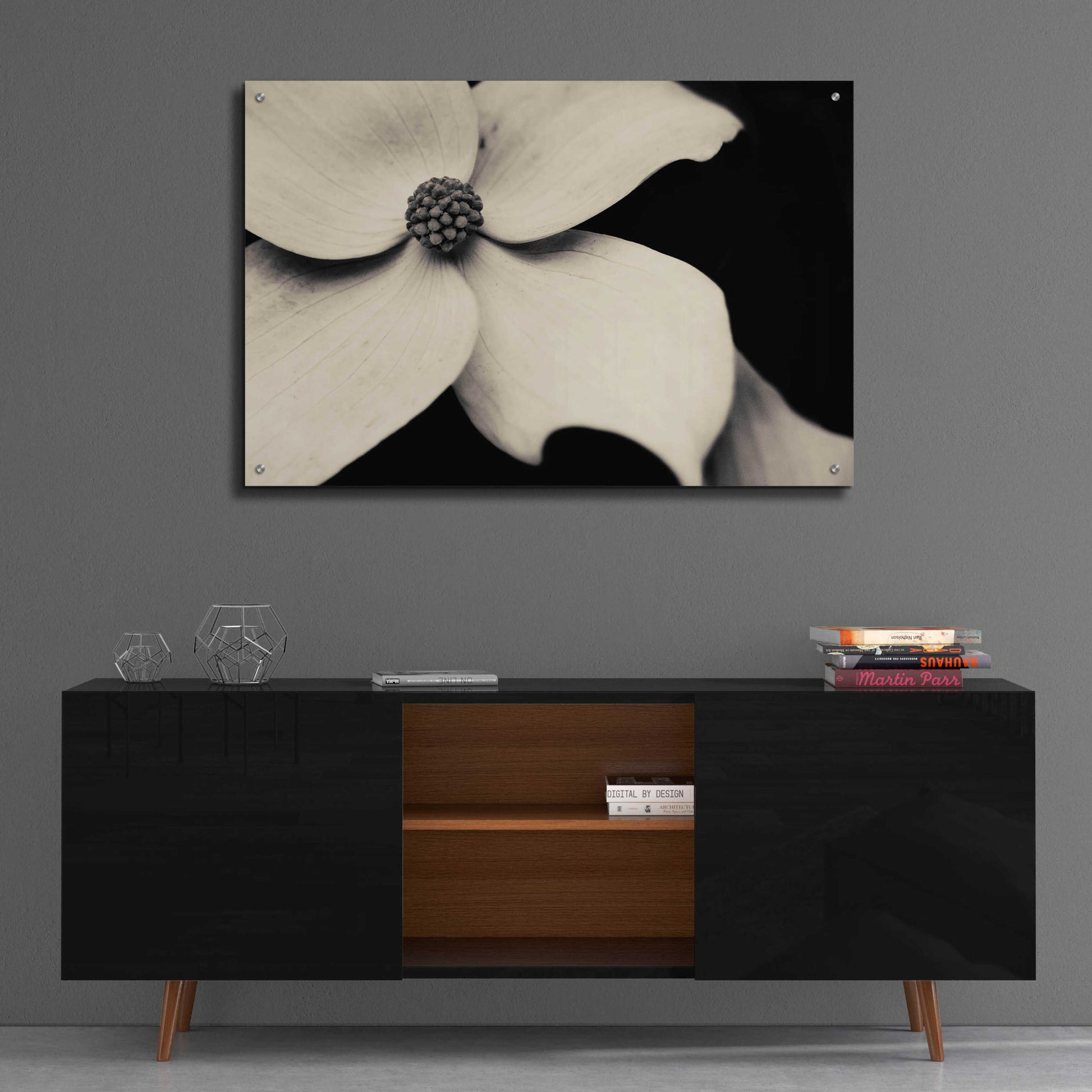 Epic Art 'Dogwood Flower' by Gary Horsfall, Acrylic Glass Wall Art,36x24