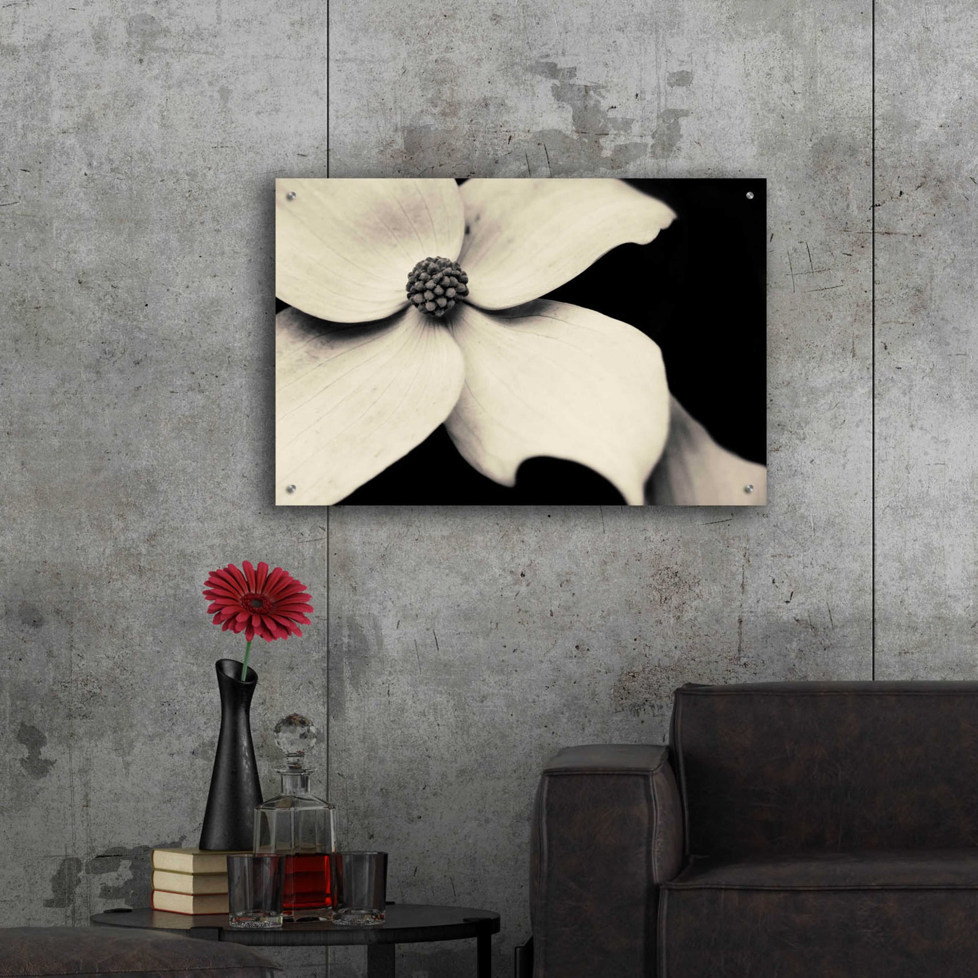 Epic Art 'Dogwood Flower' by Gary Horsfall, Acrylic Glass Wall Art,36x24