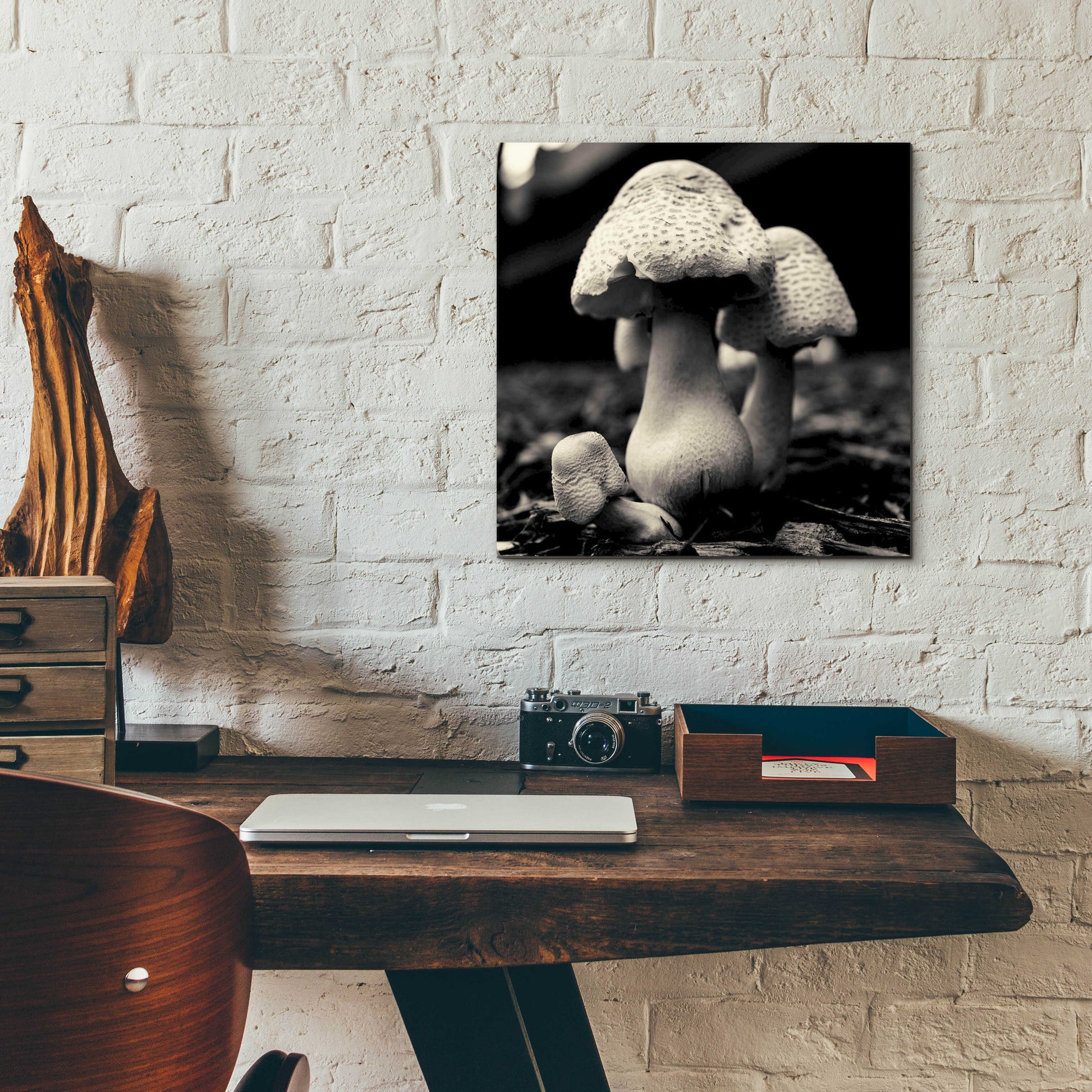 Epic Art 'Mushroom No. 3' by Gary Horsfall, Acrylic Glass Wall Art,12x12