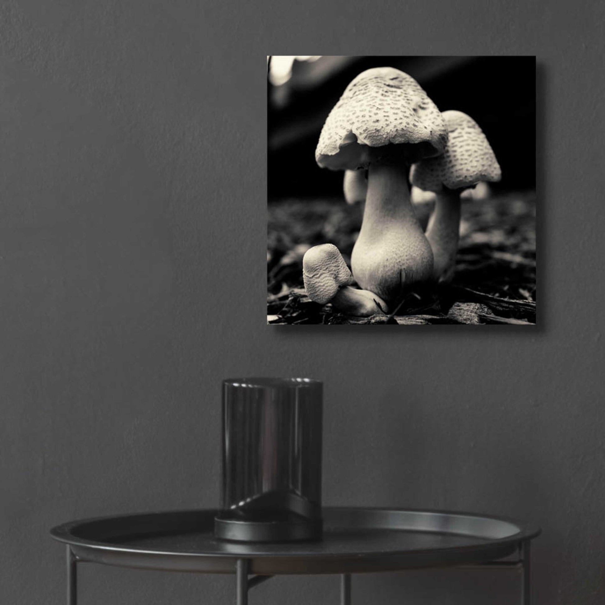 Epic Art 'Mushroom No. 3' by Gary Horsfall, Acrylic Glass Wall Art,12x12