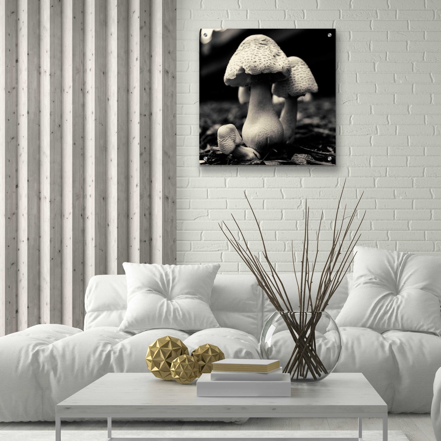 Epic Art 'Mushroom No. 3' by Gary Horsfall, Acrylic Glass Wall Art,24x24