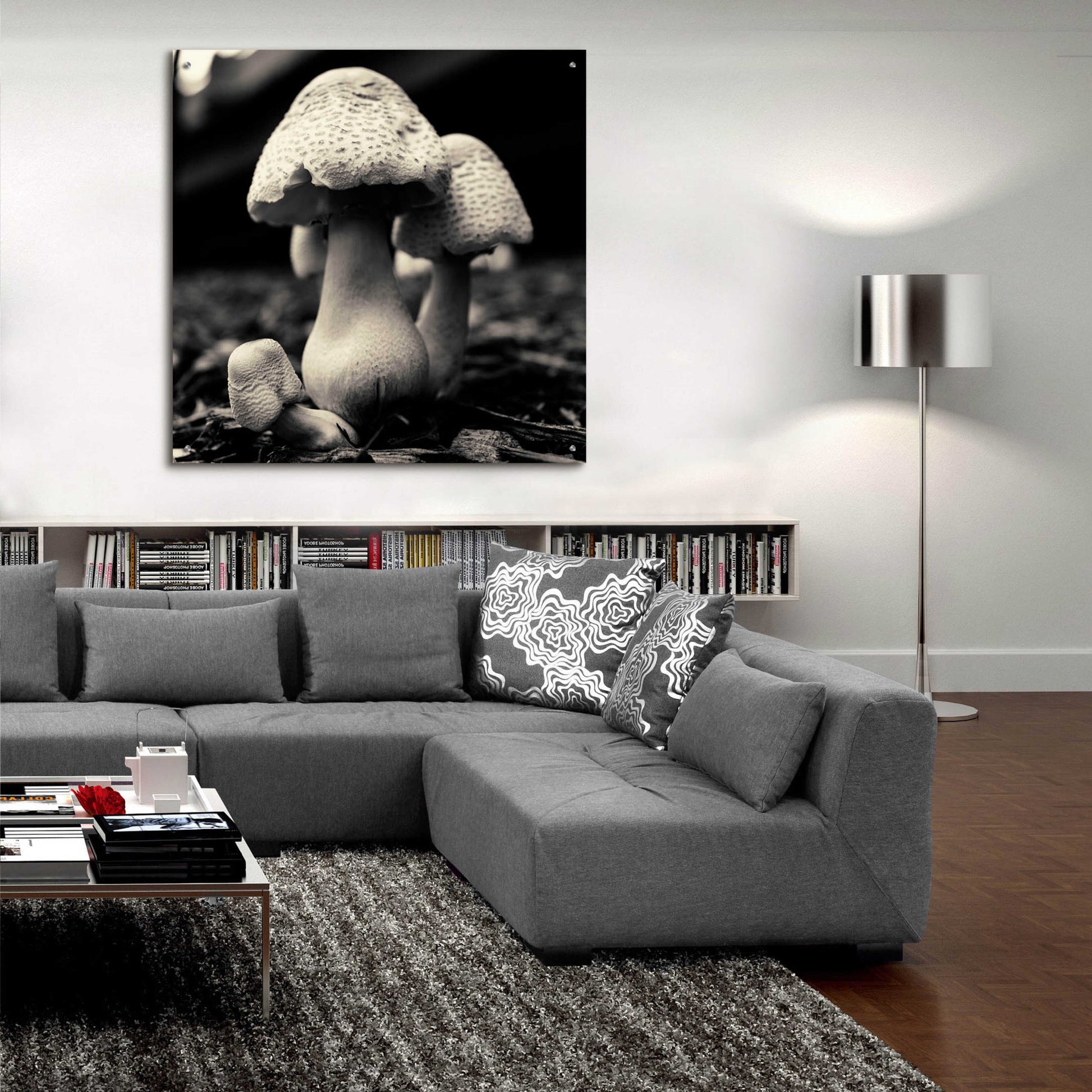 Epic Art 'Mushroom No. 3' by Gary Horsfall, Acrylic Glass Wall Art,36x36