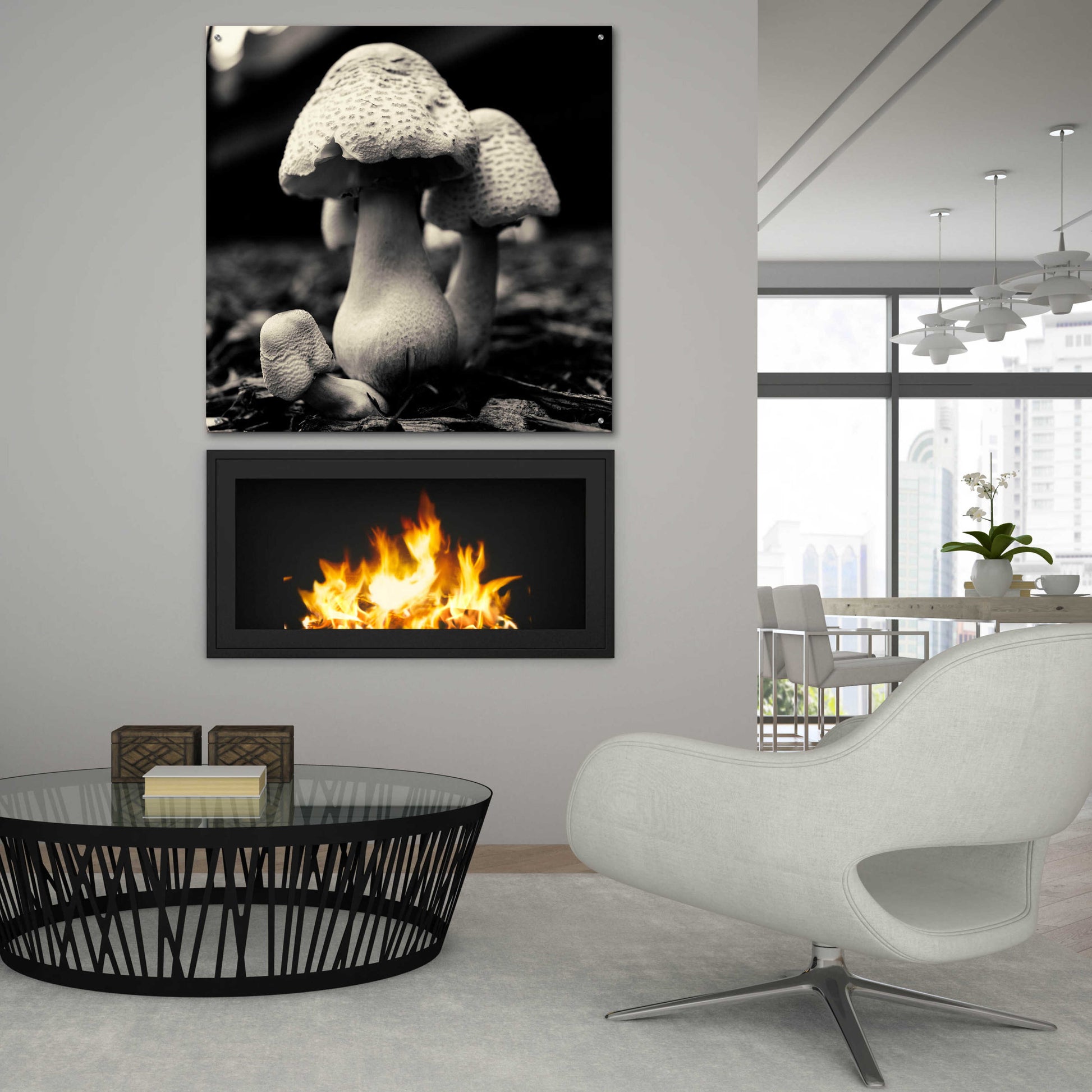 Epic Art 'Mushroom No. 3' by Gary Horsfall, Acrylic Glass Wall Art,36x36