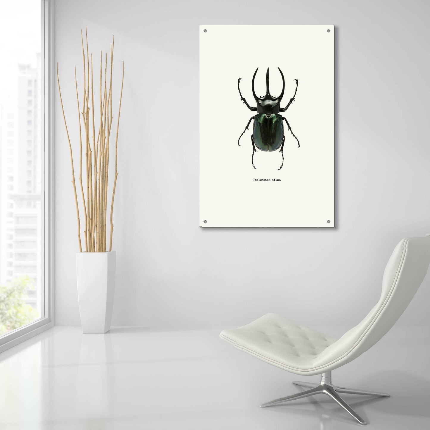 Epic Art 'Beetle Black' by GraphINC, Acrylic Glass Wall Art,24x36