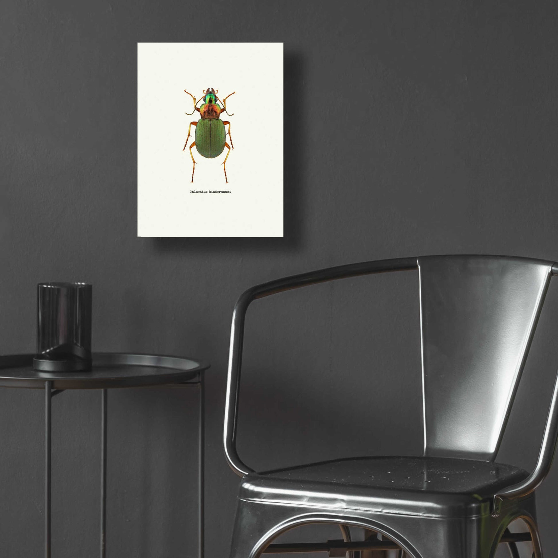 Epic Art 'Beetle Green' by GraphINC, Acrylic Glass Wall Art,12x16